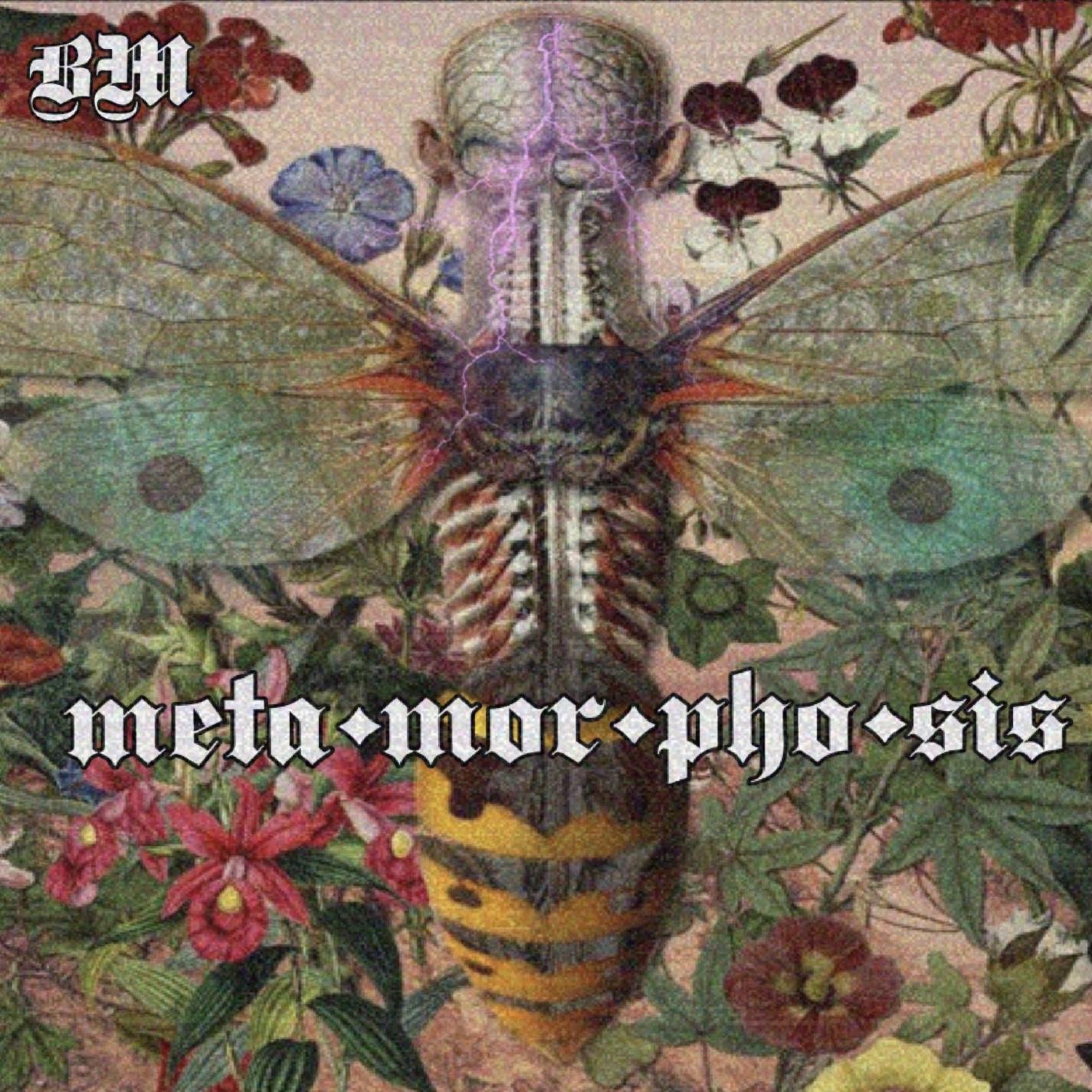 Meta mor pho sis