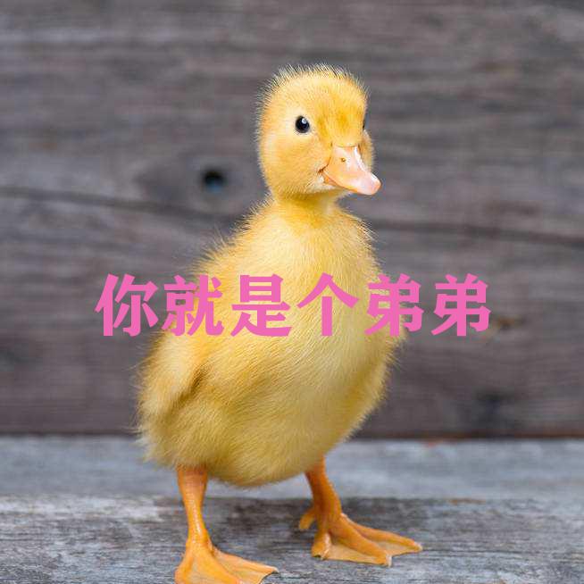 ruo jiu neng xiao chou wo jiu bu hui tan lian ai