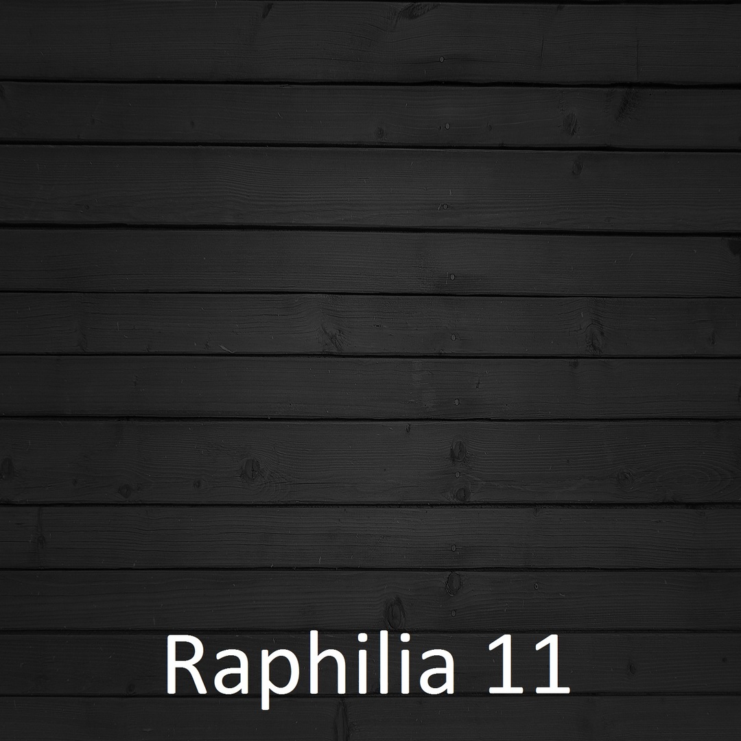 Raphilia 11