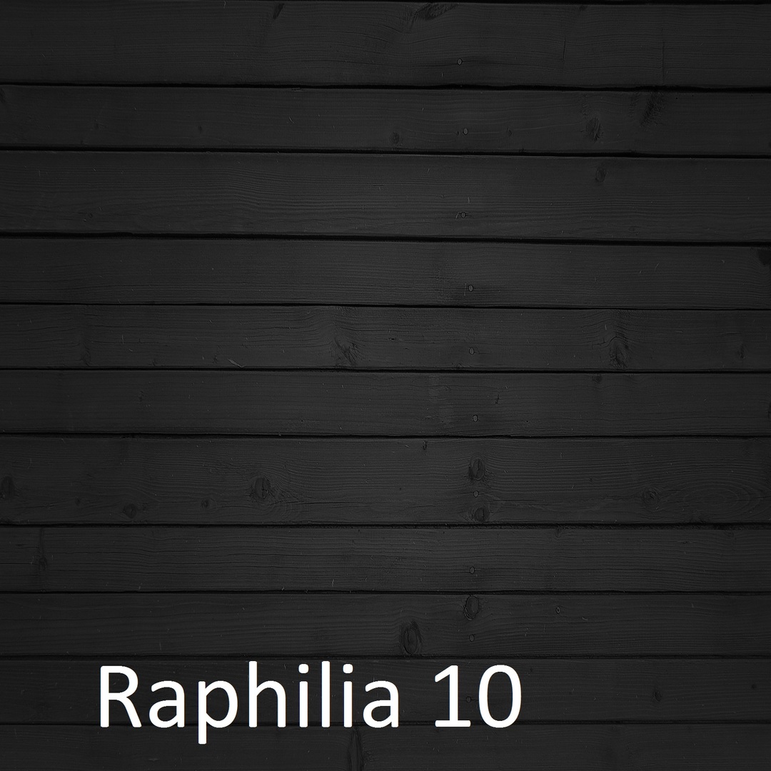 Raphilia 10
