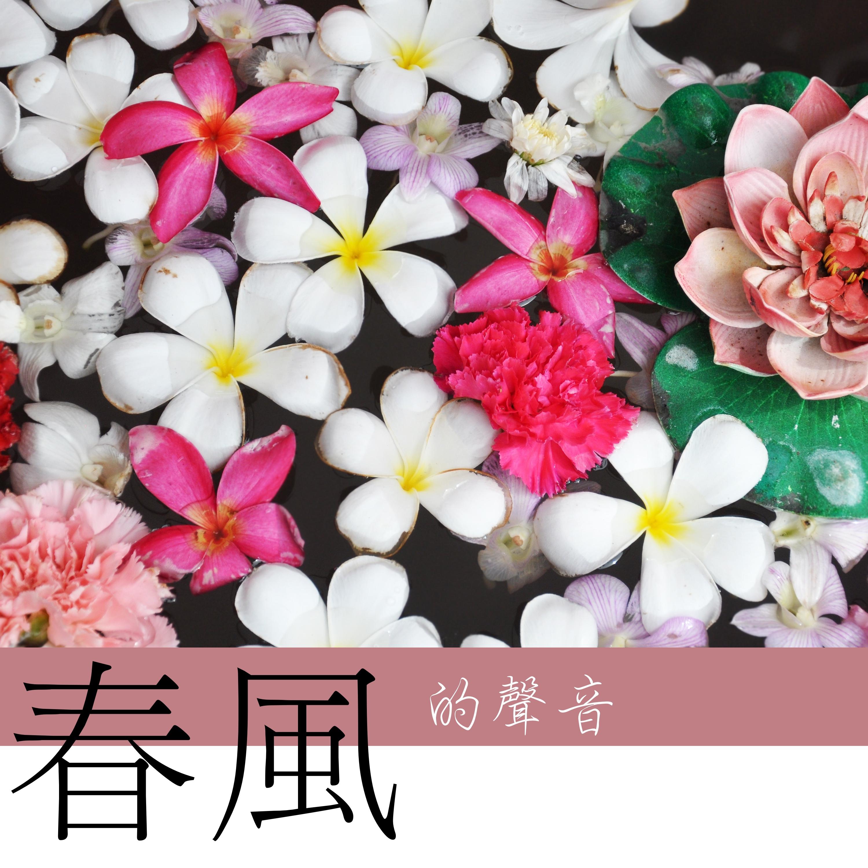 chun feng de sheng yin