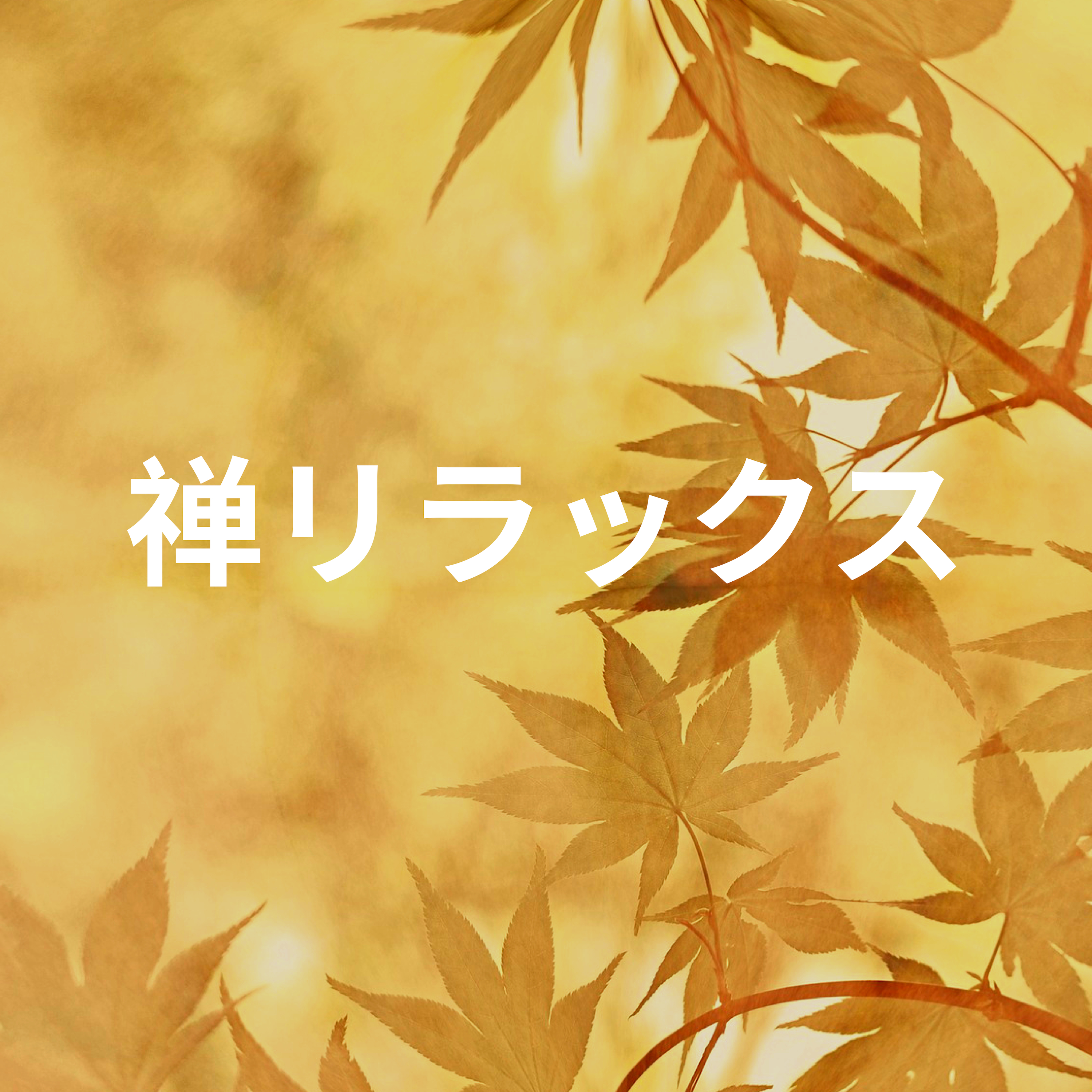 zi lv xun lian yin le