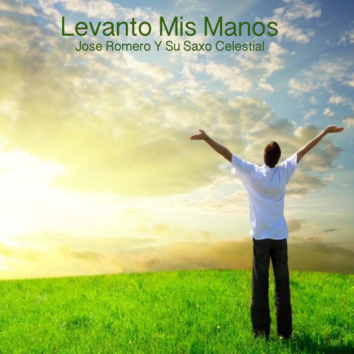 Levanto Mis Manos