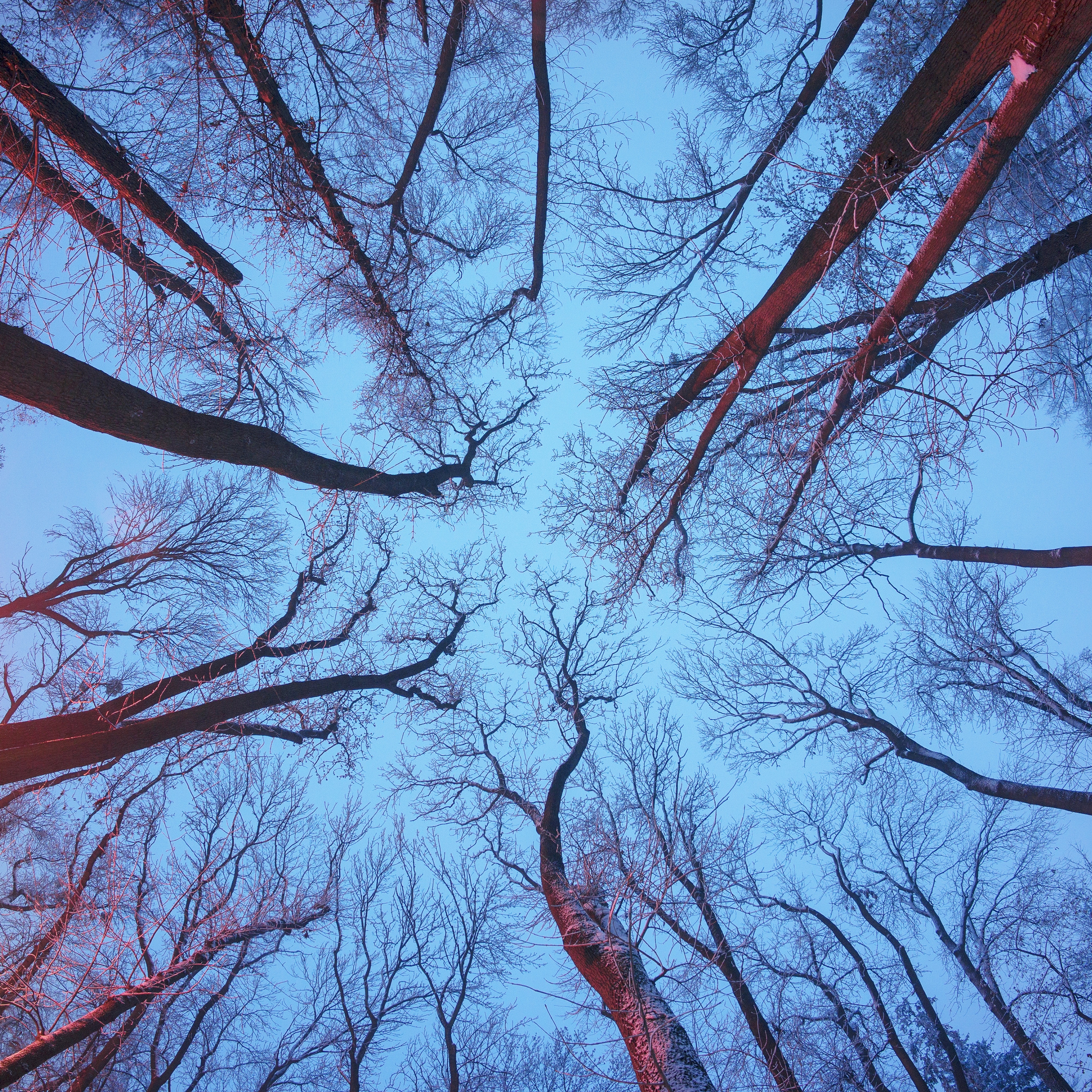 ASMR The Sound of Stream for Sleep And Relax