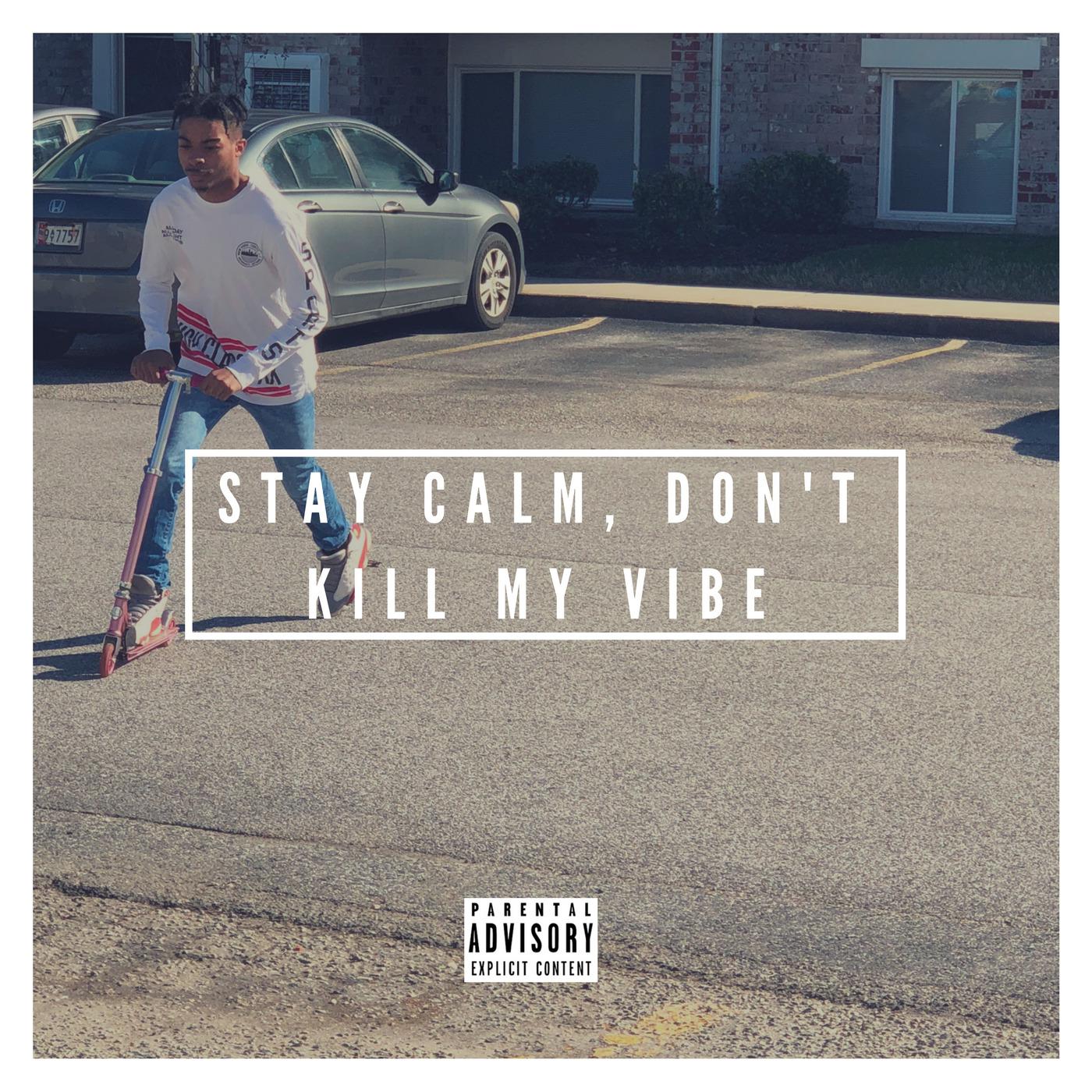 Stay Calm, Don't Kill My Vibe