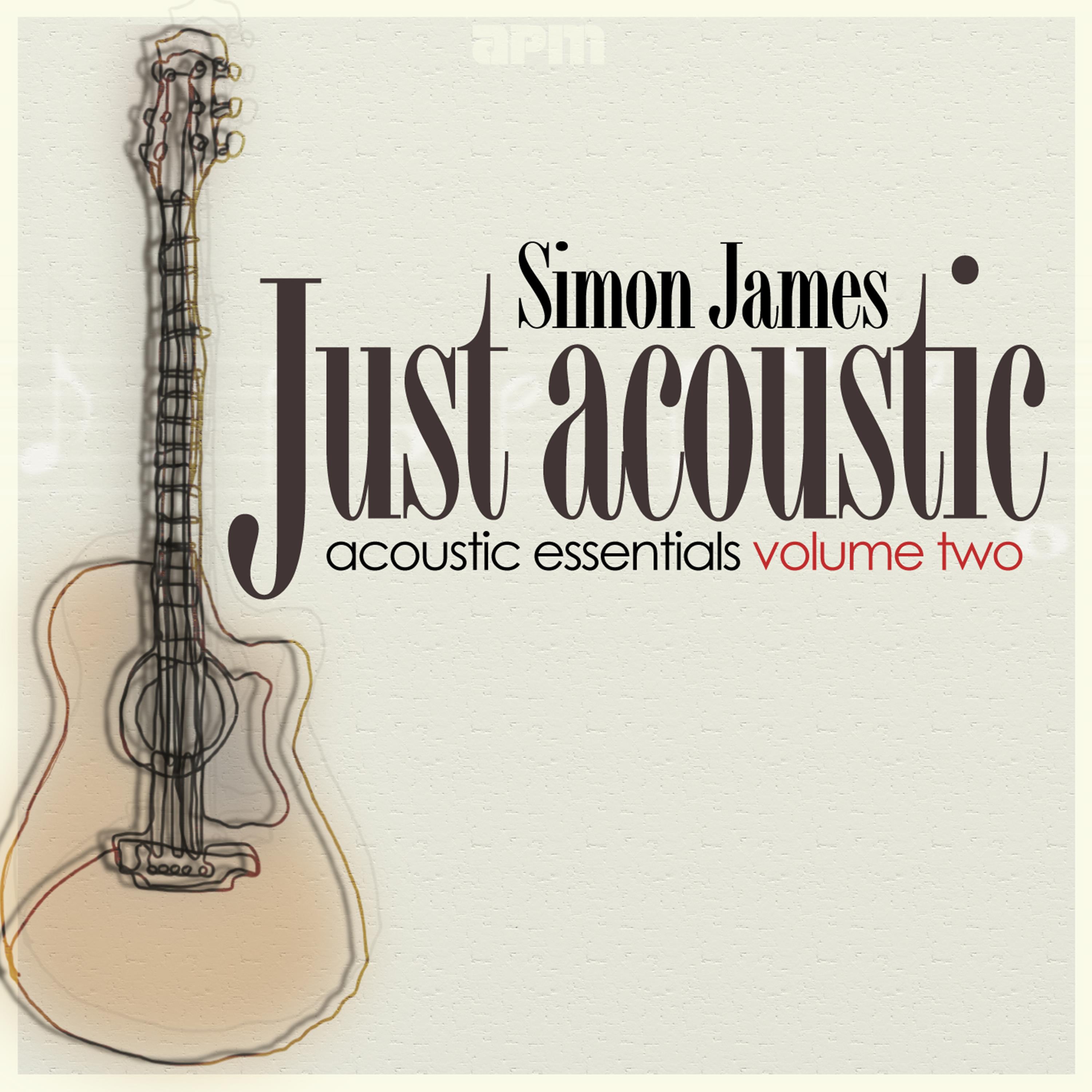 Just Acoustic - Acoustic Essentials, Vol. 2