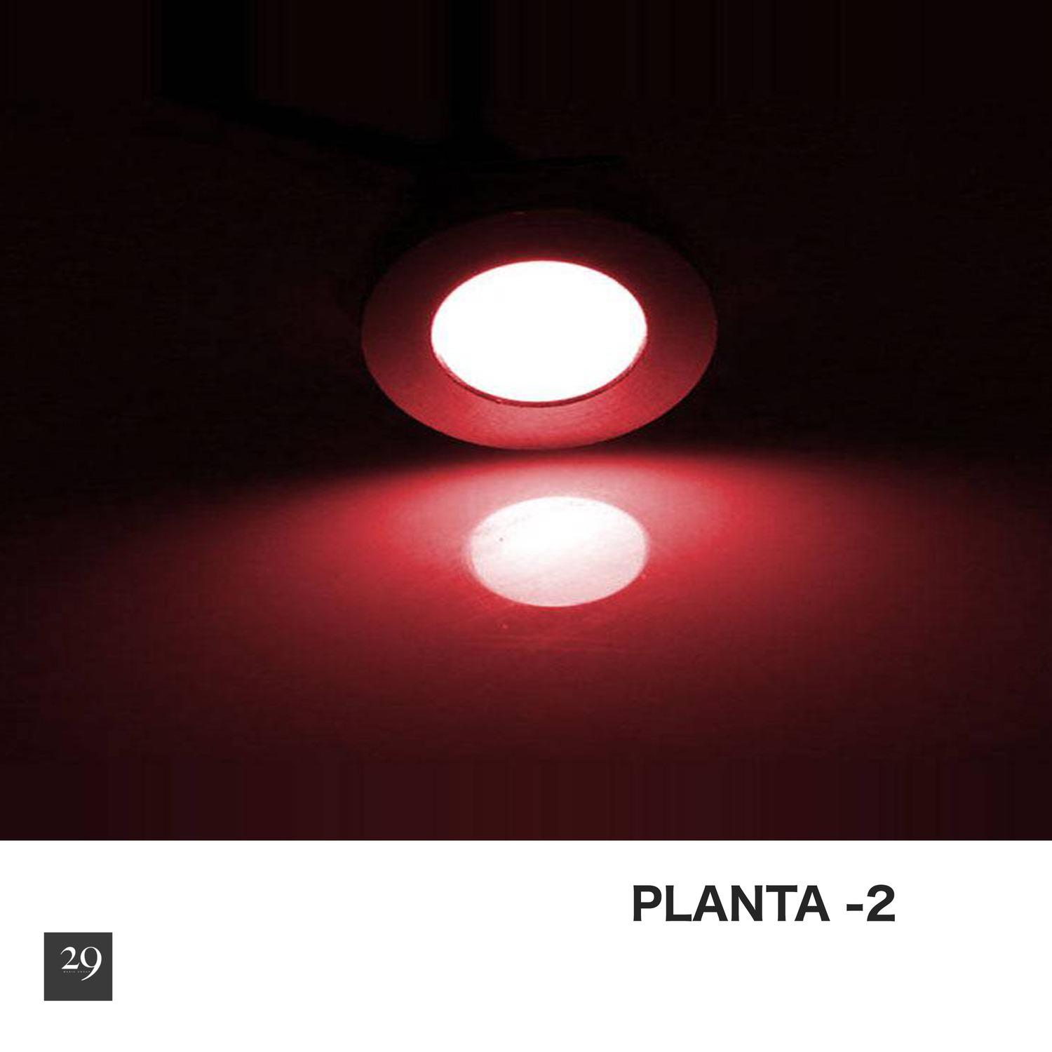 Planta -2
