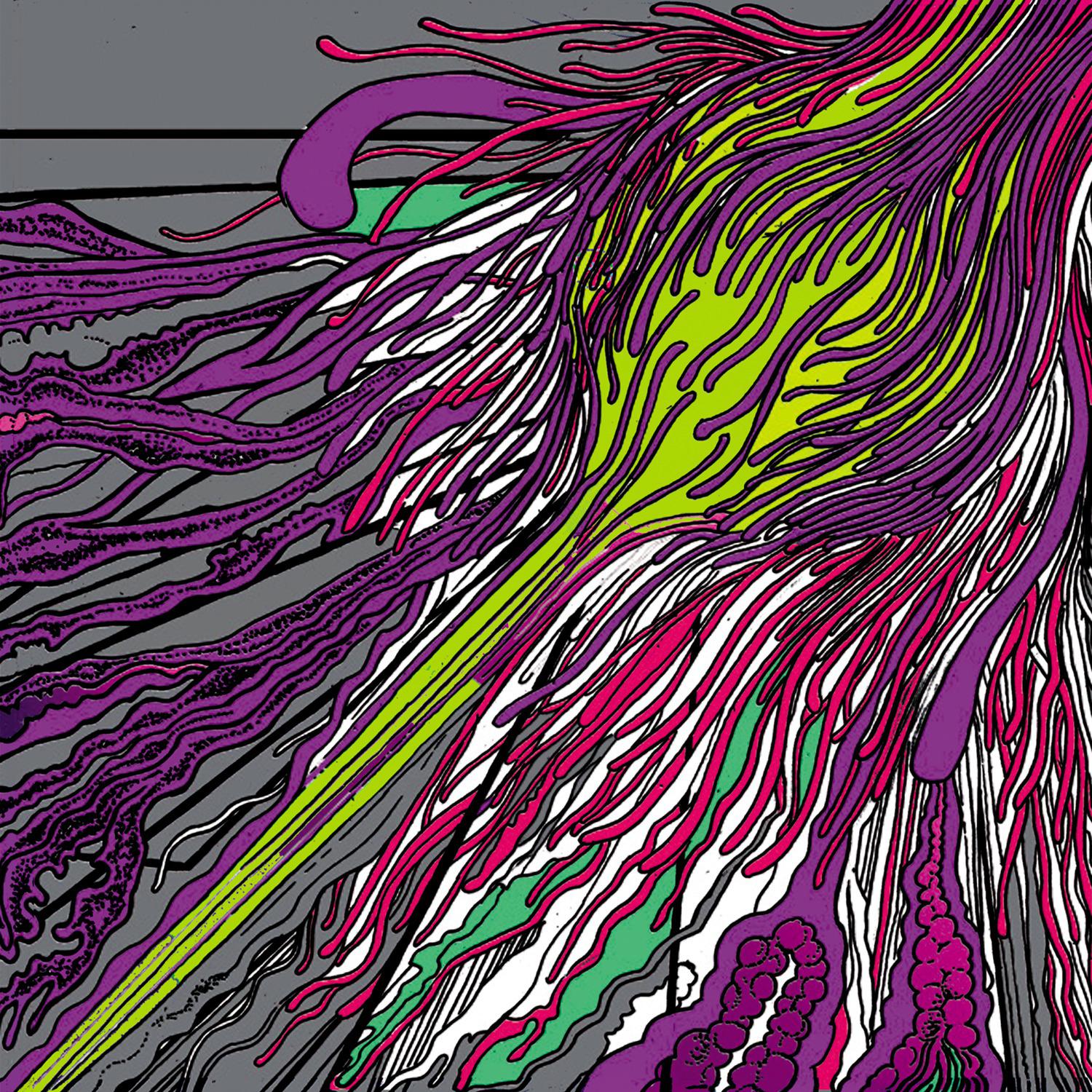 The Delusion of Amnesty