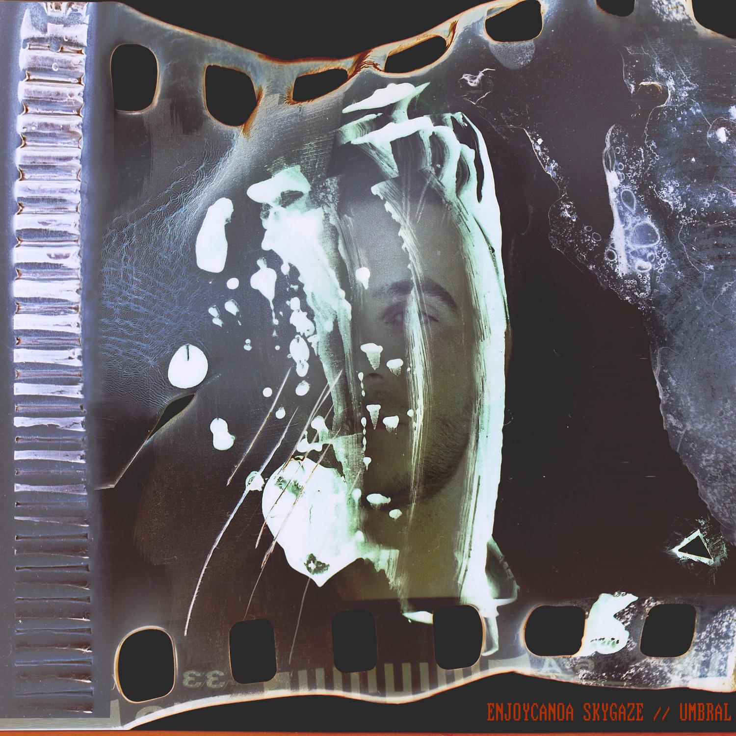 Eucalipto y Rama Seca