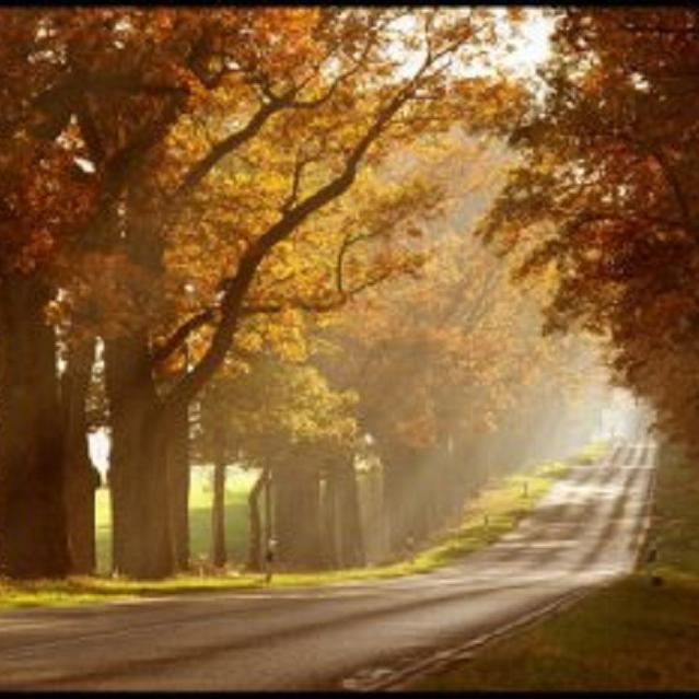 liu xing ge qu ji ta tan chang qu ji