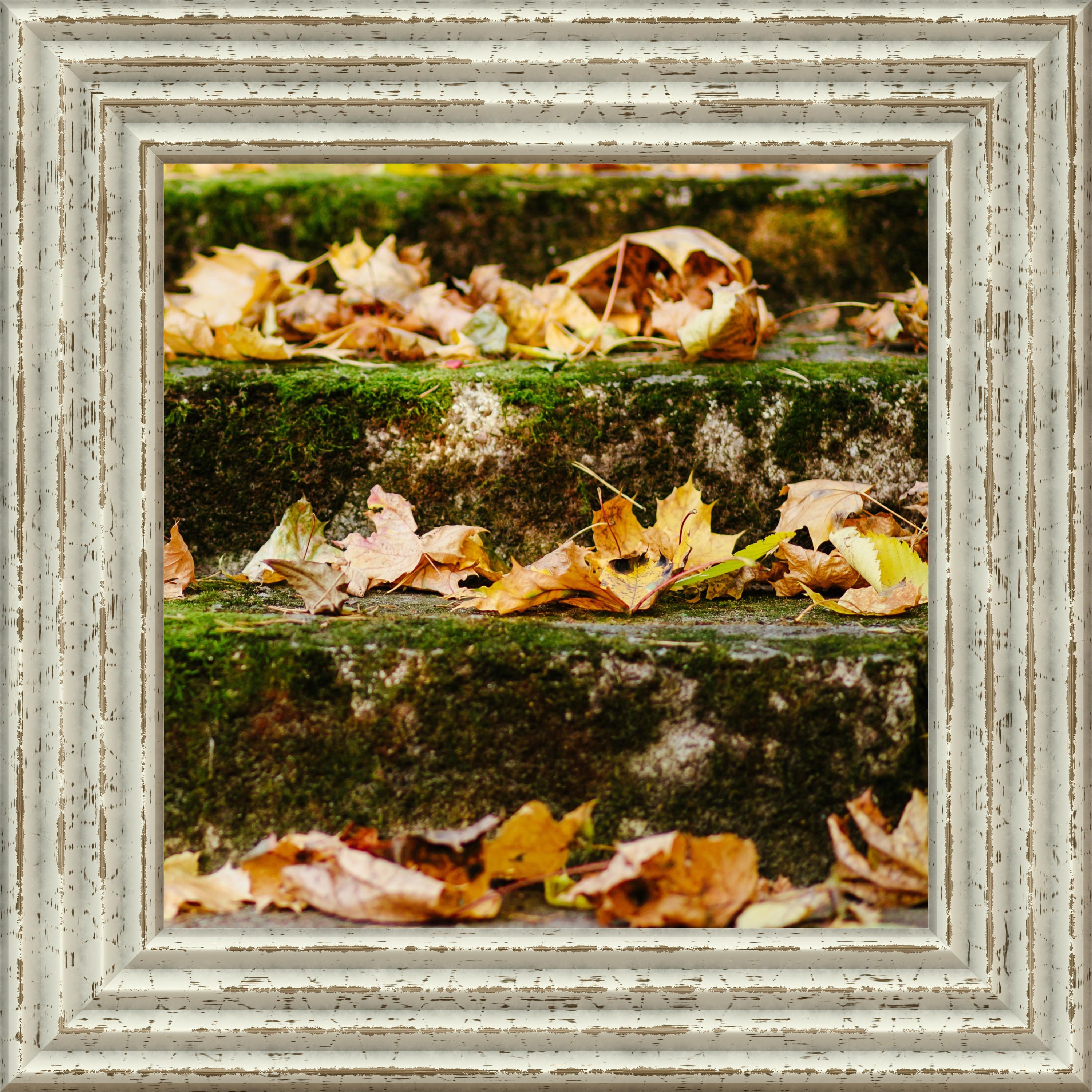 The Sonata Of Sleepy Piano