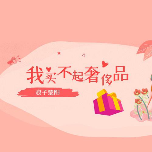 wo mai bu qi she chi pin