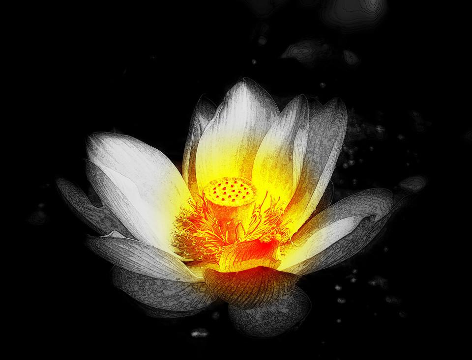 zhan fang yu hei an de xi wang zhi hua