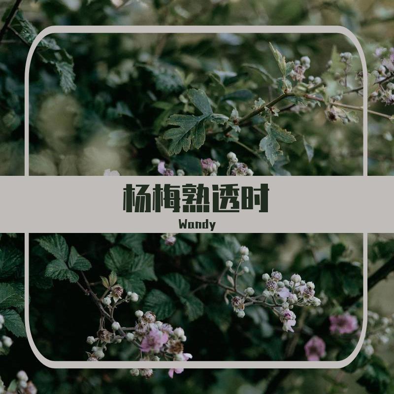 yang mei shu tou shi