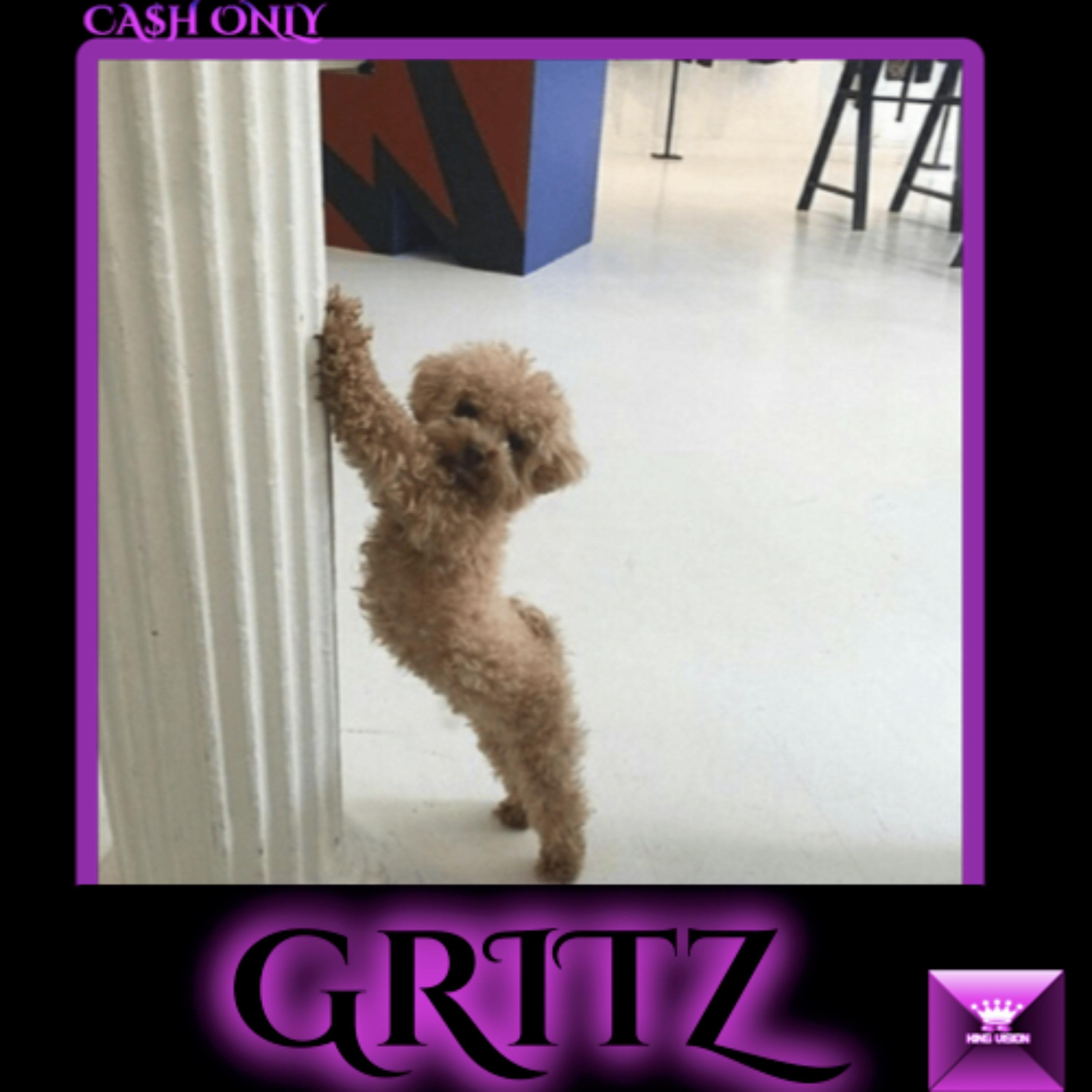 Gritz