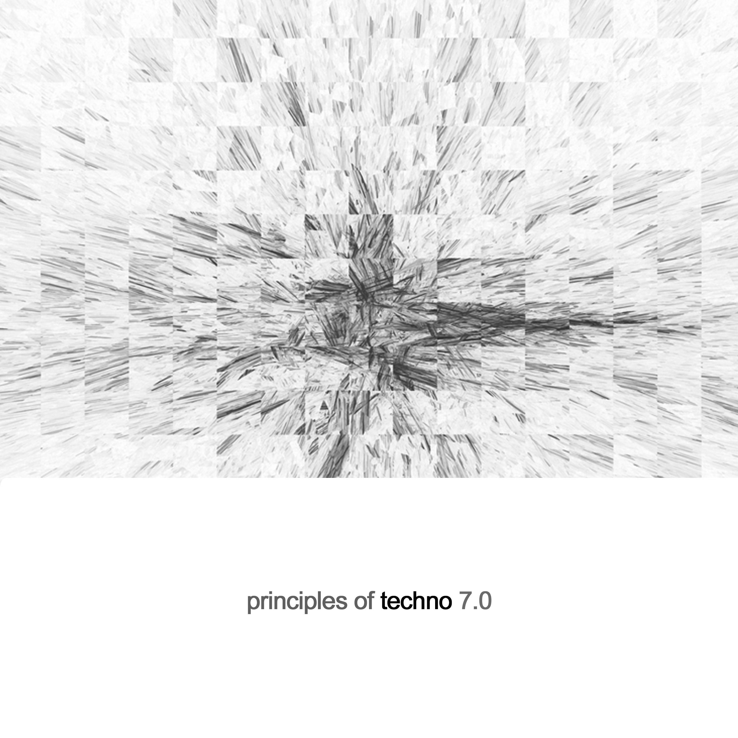 Principles of Techno 7.0