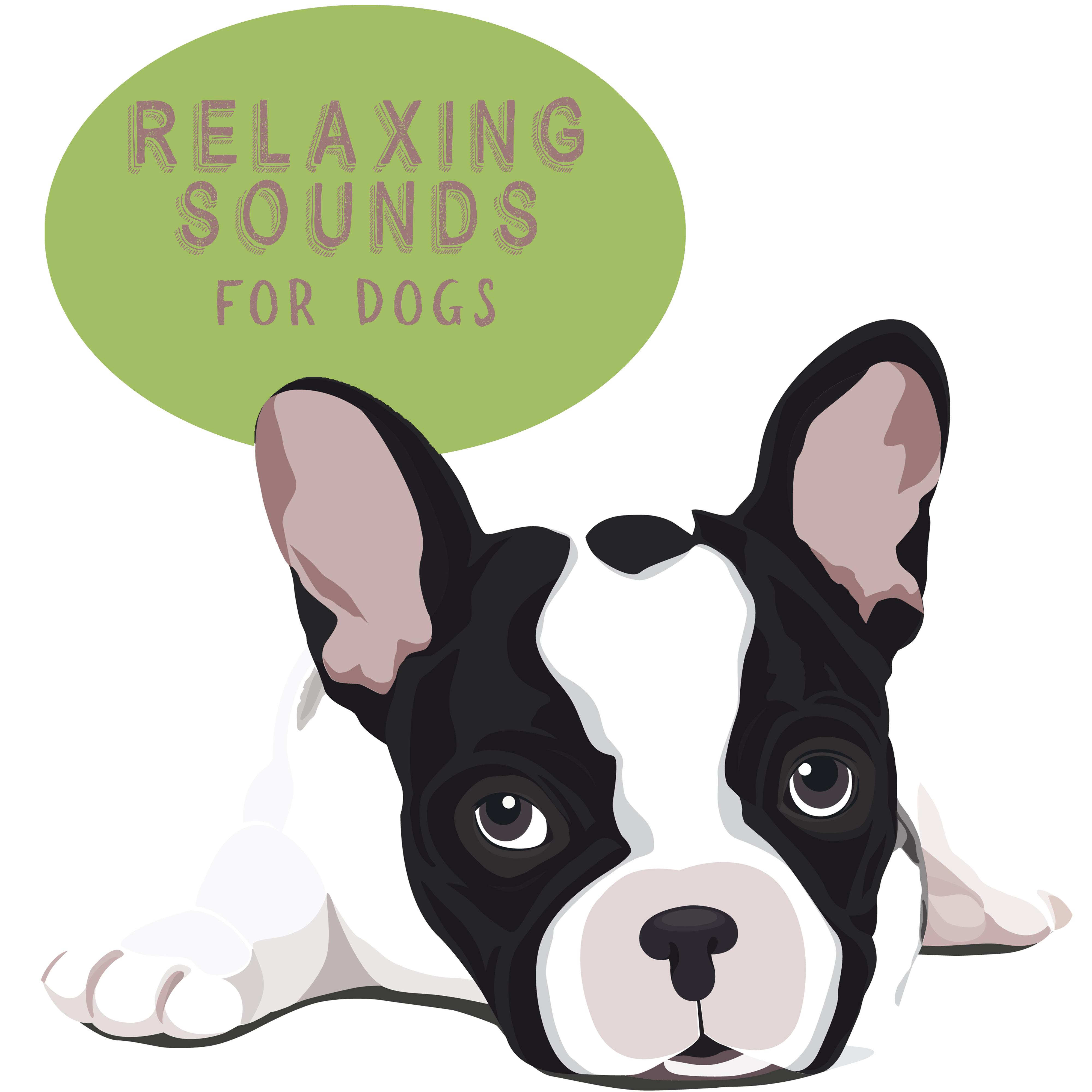 Relaxing Sounds for Dogs  Deeper Sleep, Pure Relaxation, Music for Reduce Stress