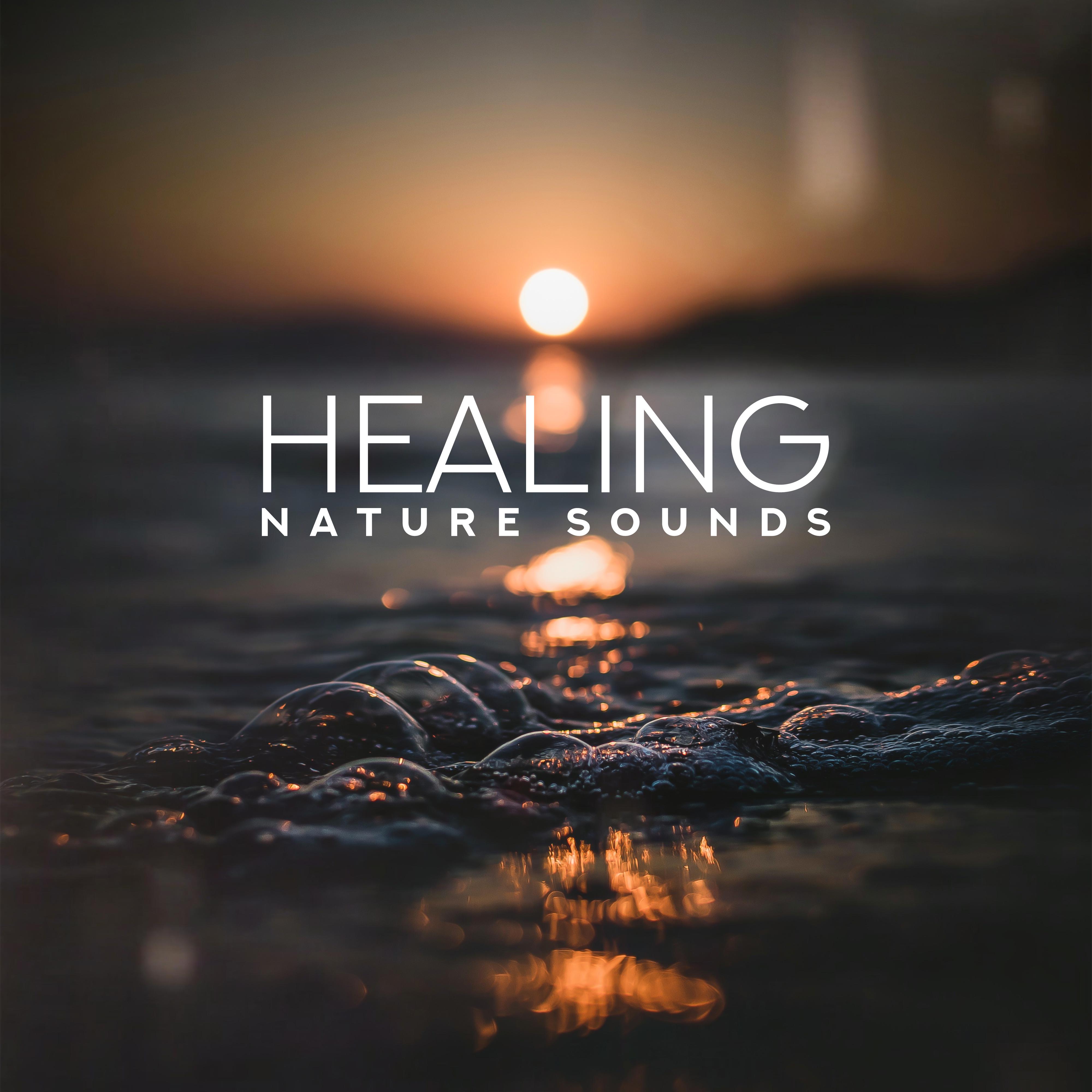 Healing Nature Sounds  Deep Relaxation, Pure Therapy, Relaxing Sounds for Yoga, Sleep, Meditation, Nature Sounds to Calm Down