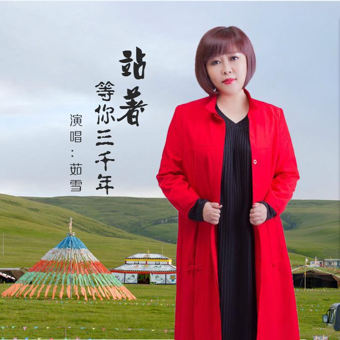 tu dun yan tie pao zhi shu