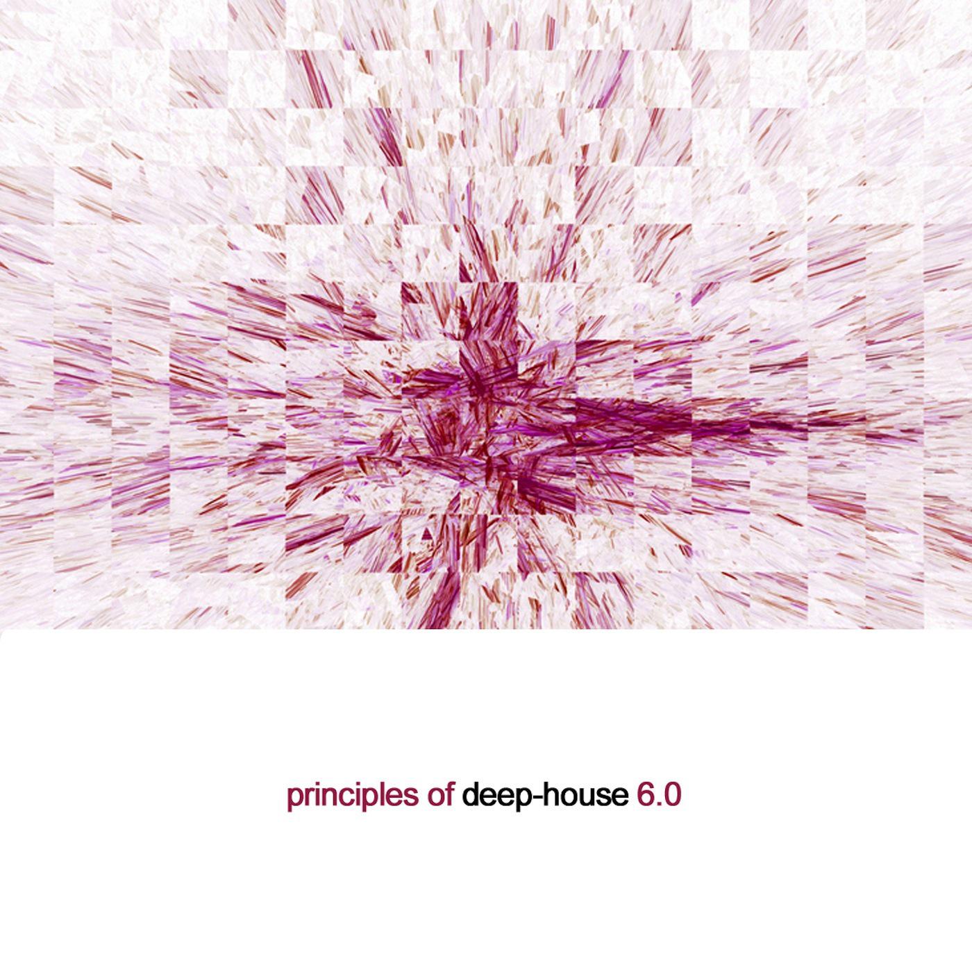 Principles of Deep House 6.0