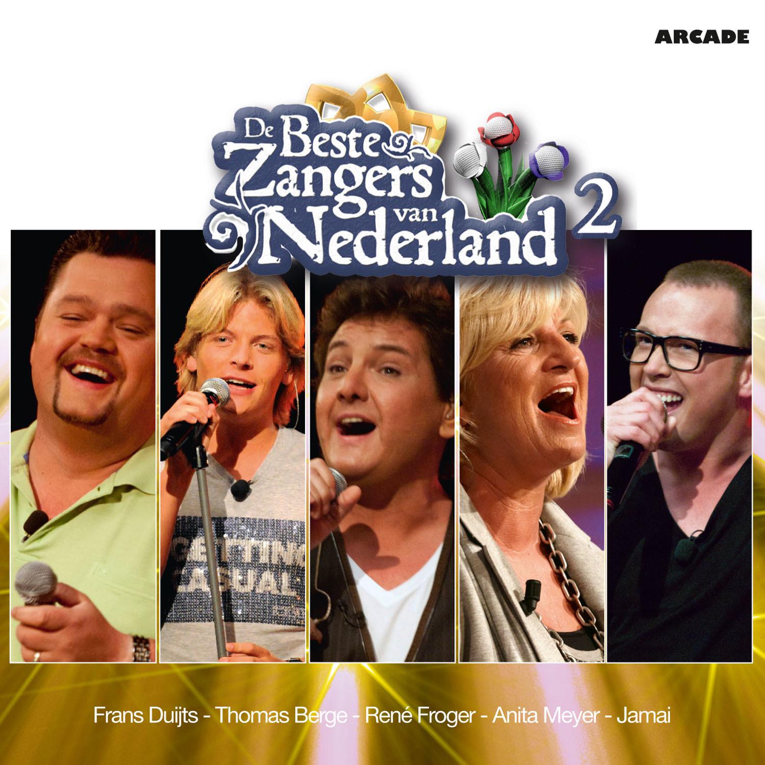 De Beste Zangers van Nederland - Deel 2