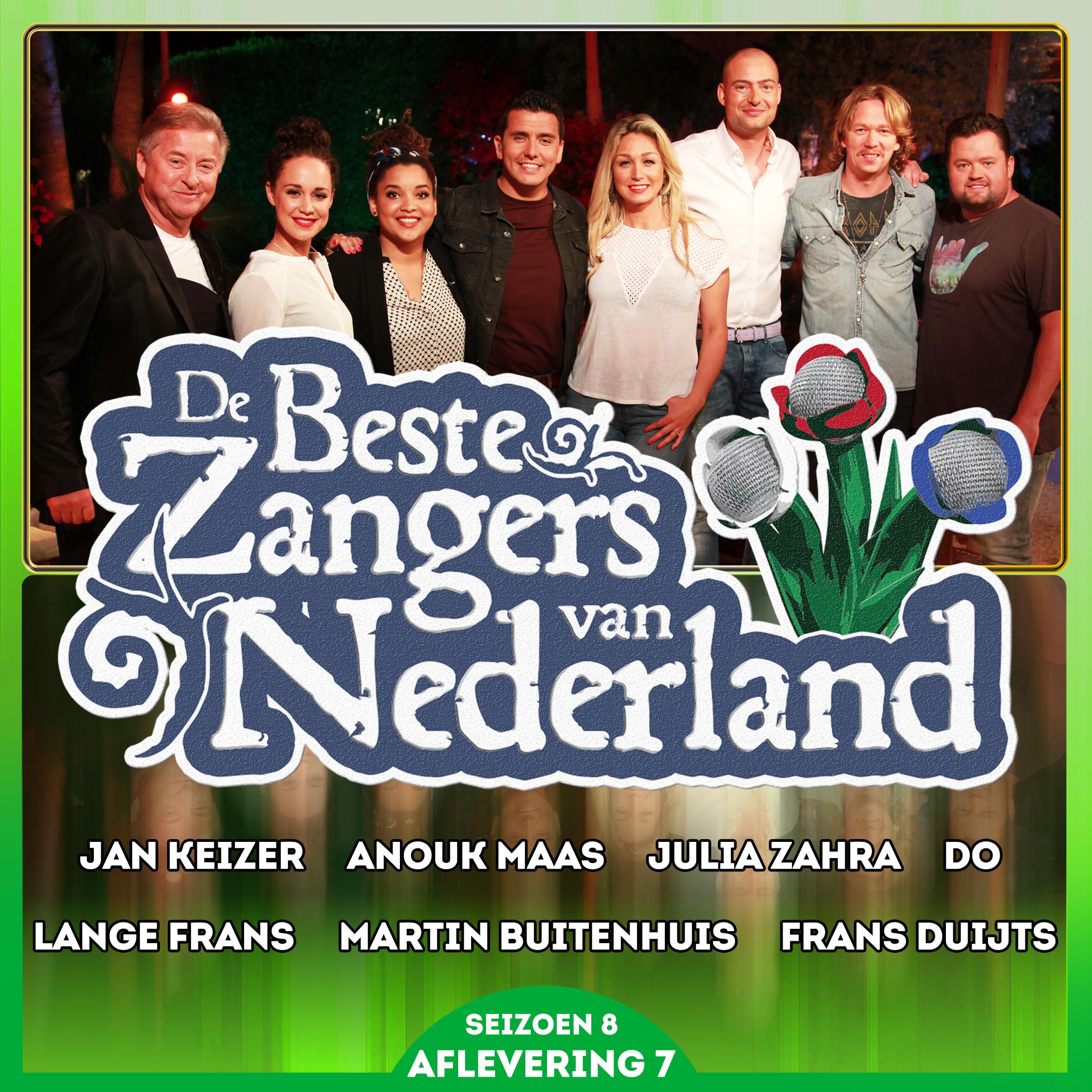 De Beste Zangers van Nederland Seizoen 8 (HitsNL)