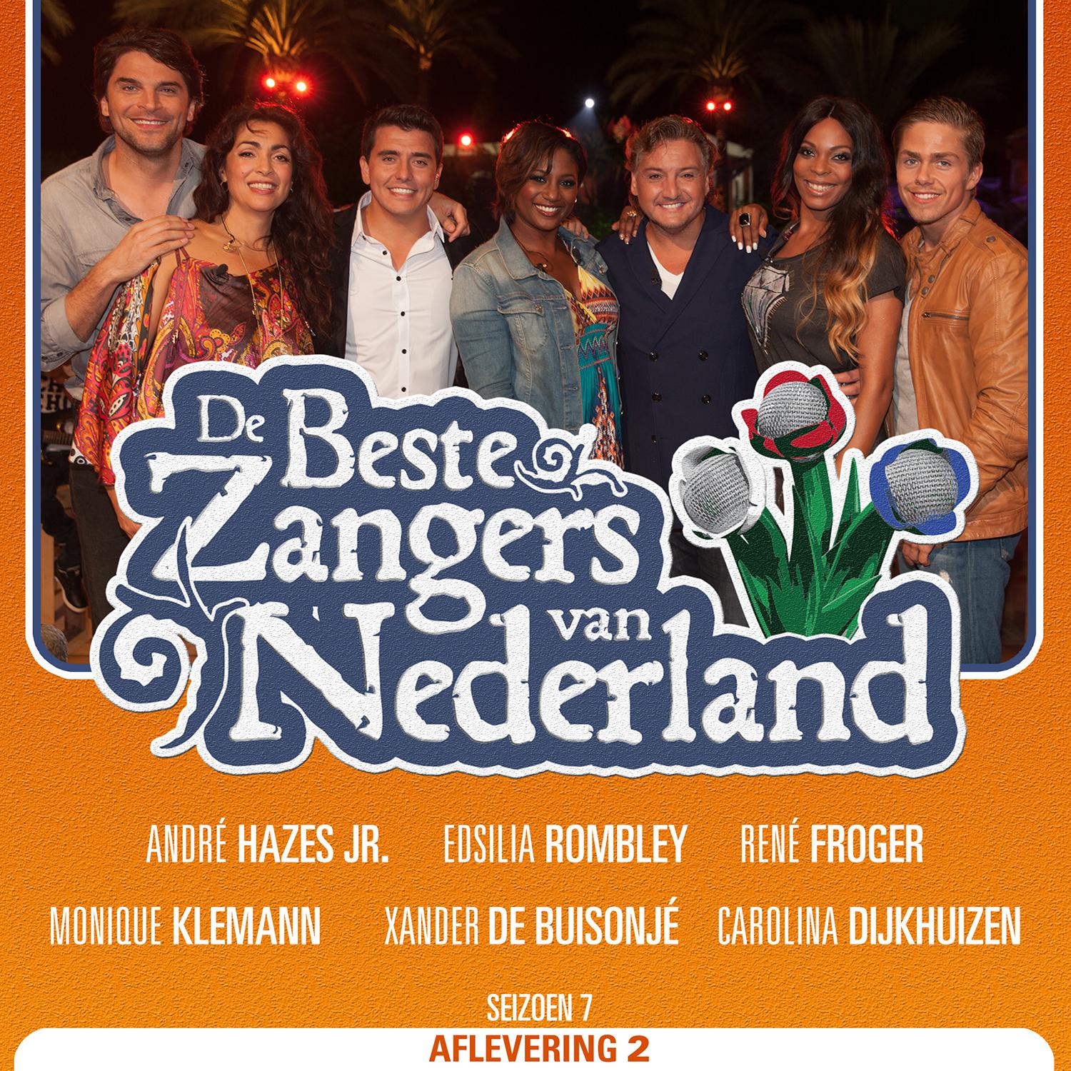 De Beste Zangers van Nederland Seizoen 7 (Aflevering 2)