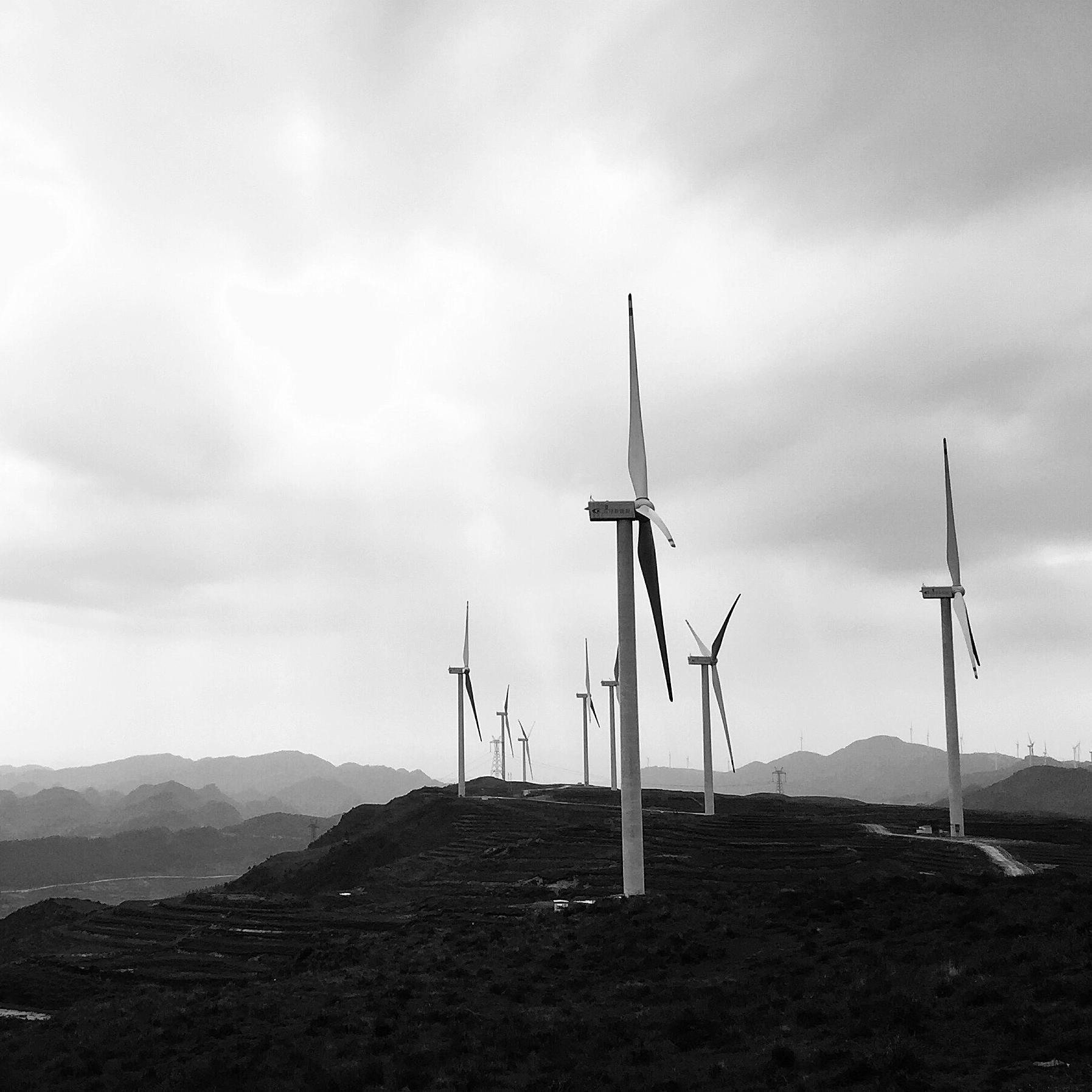 Welcome to the Kawaii Rabbit!