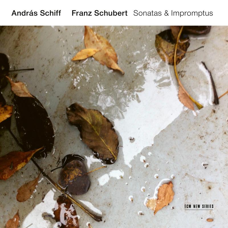 Piano Sonata No. 20 in A Major, D. 959:2. Andantino