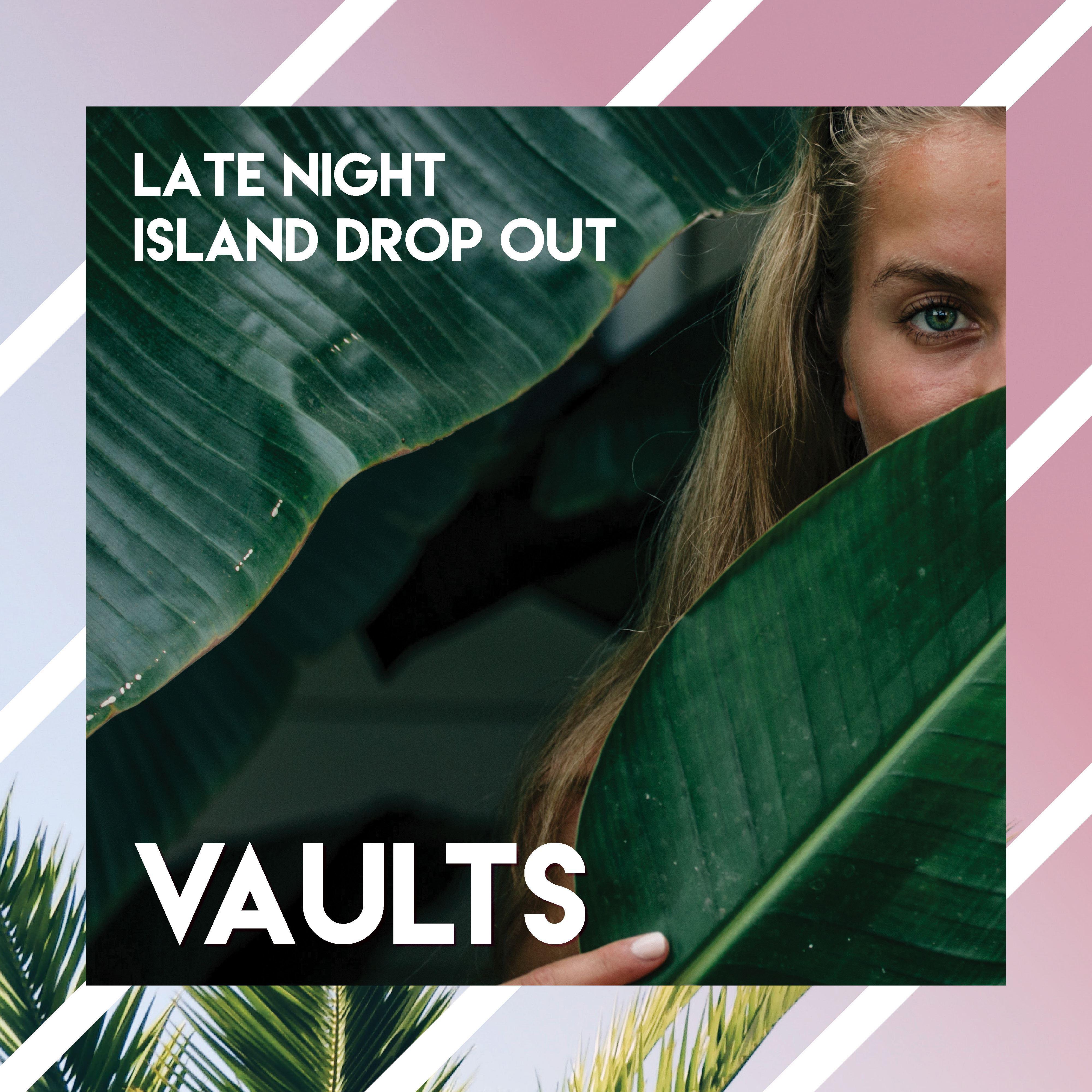 Vaults // Late night Island Drop Out