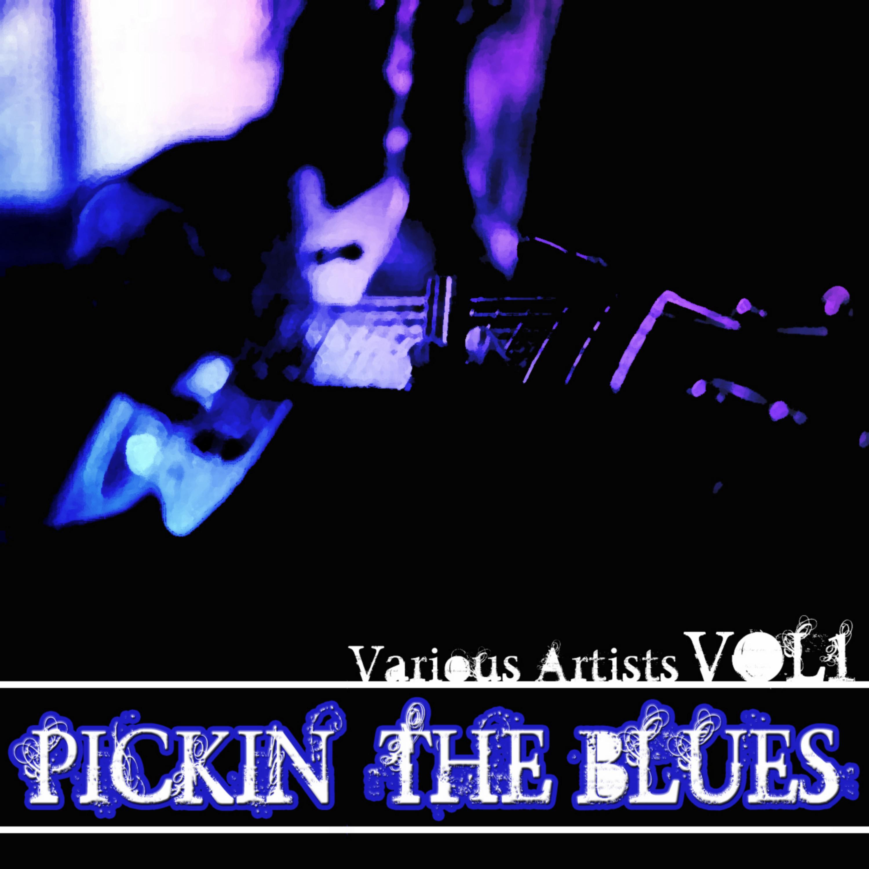 Pickin' the Blues, Vol. 1