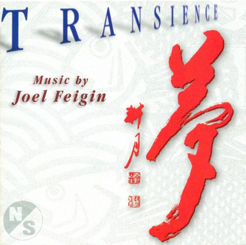 FEIGIN, J.: Transience / 5 Ecstatic Poems of Kabir / 4 Poems of Linda Pastan / 4 Fantasy Pieces / 8 Japanese Poems (Musicians' Accord)