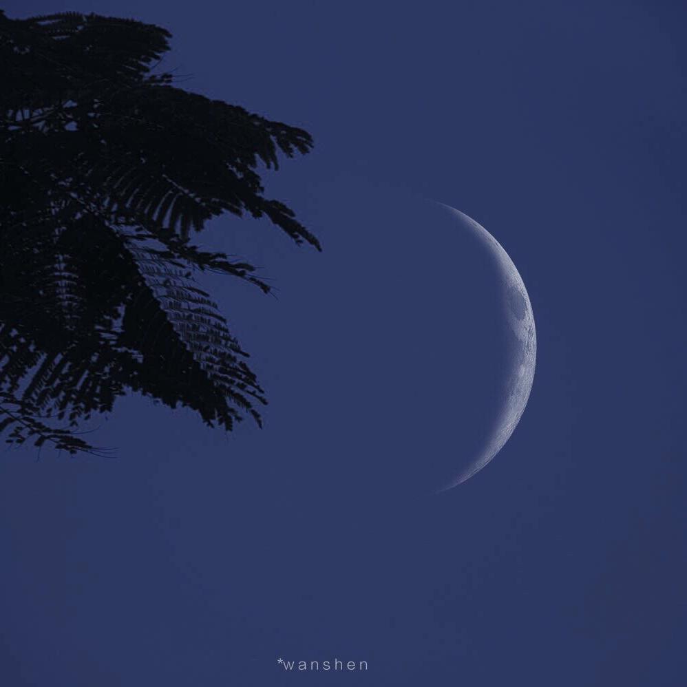 nv ren wen rou ban ge shao nv