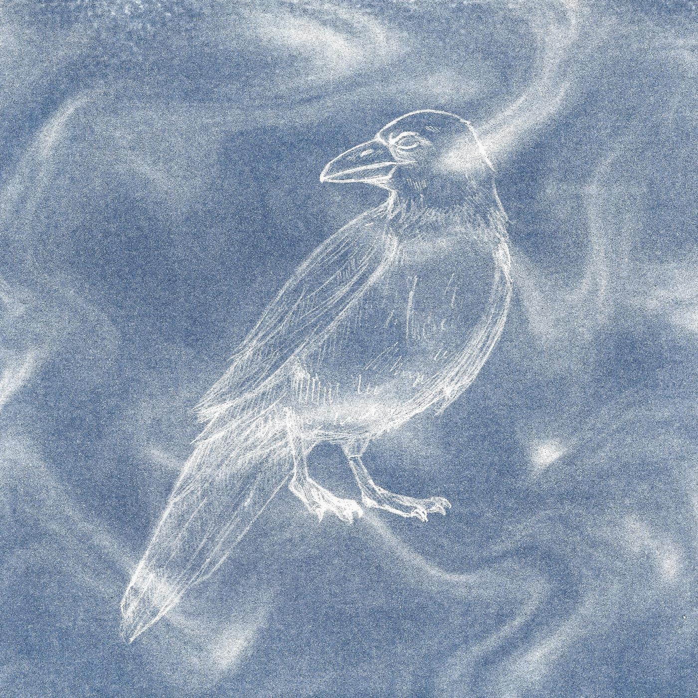 People Lying Around In Dirt Every Day