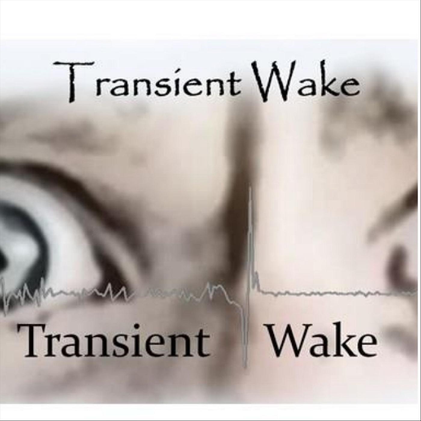 Transient Wake