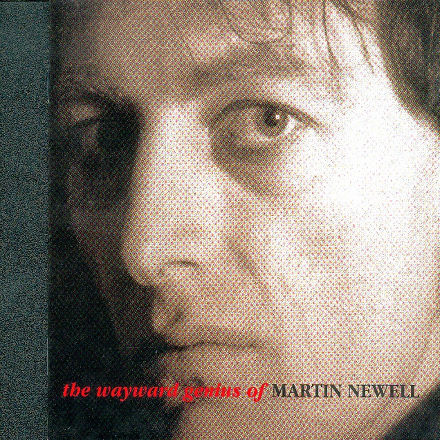 The Wayward Genius Of Martin Newell