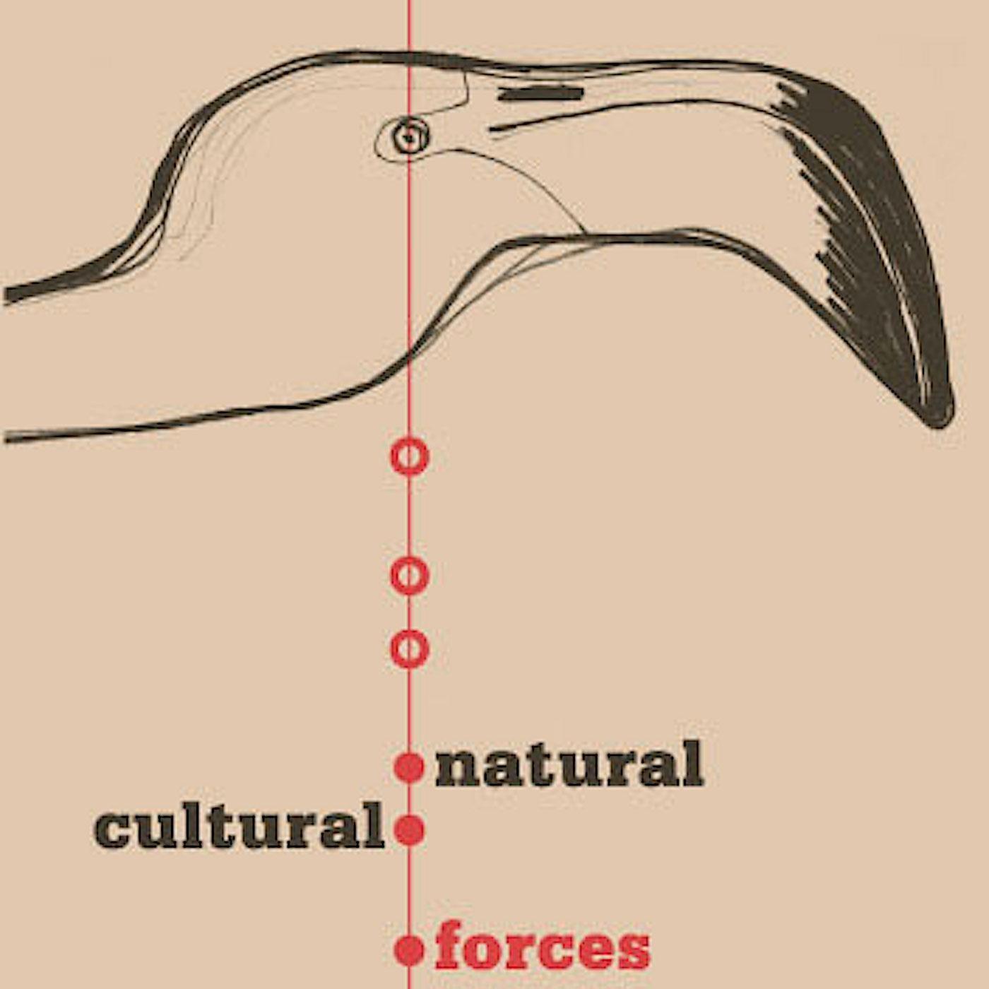 Natural / Cultural Forces