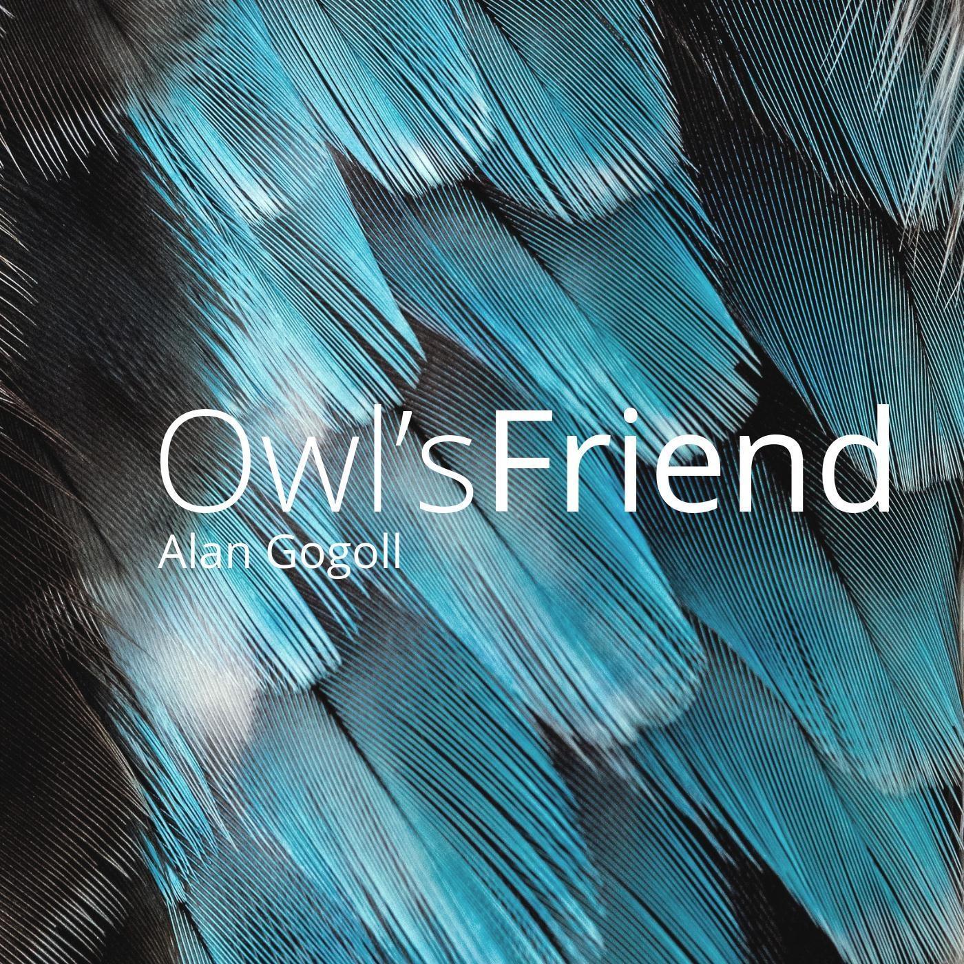 Owl's Friend
