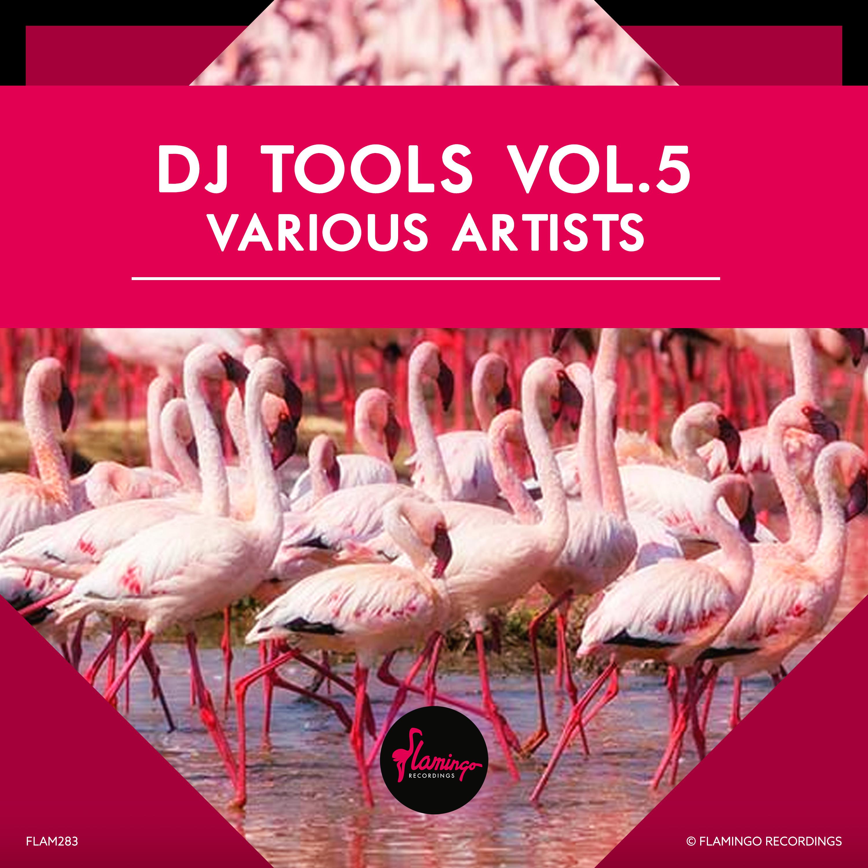 Flamingo DJ Tools vol.5