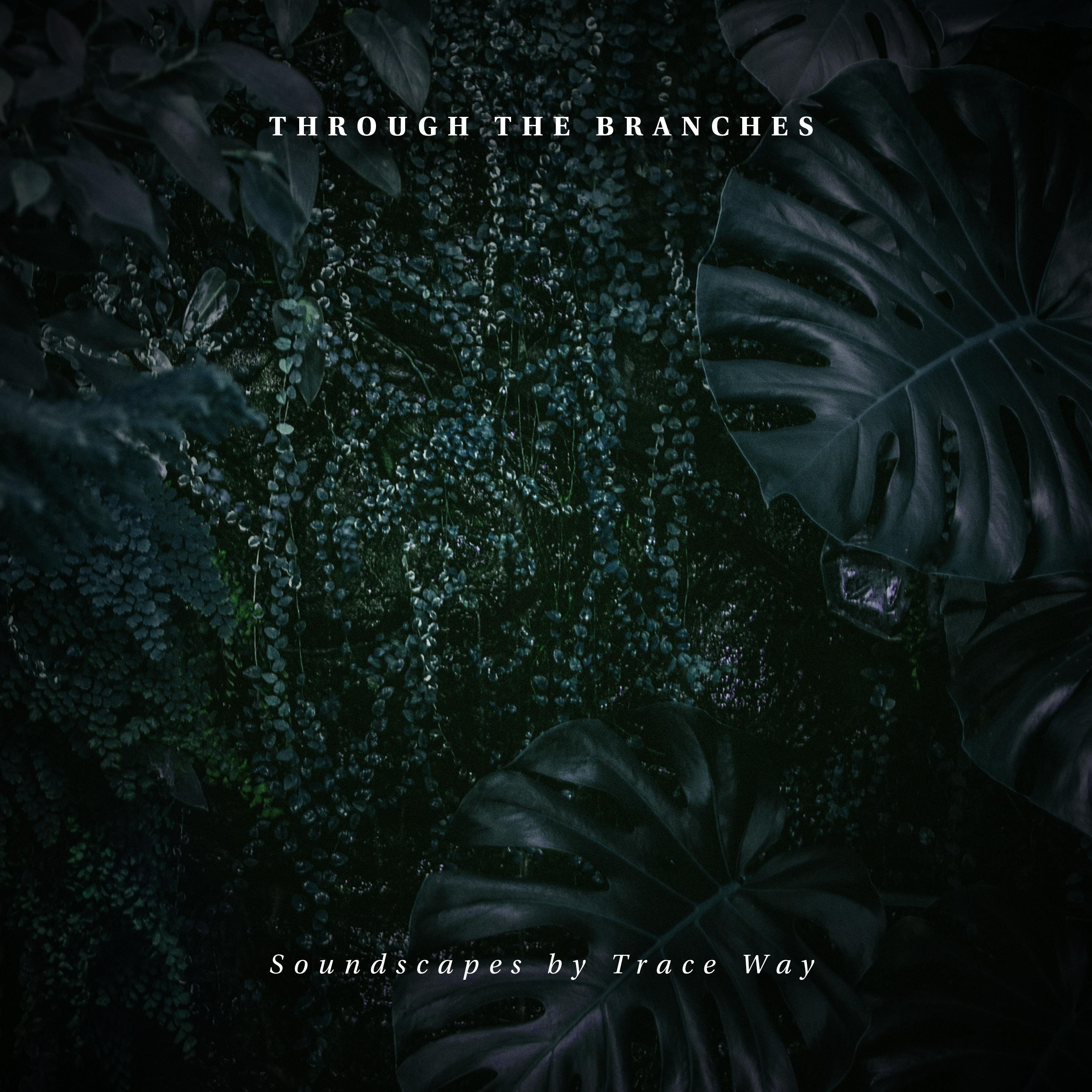 Beyond That Mountain Range