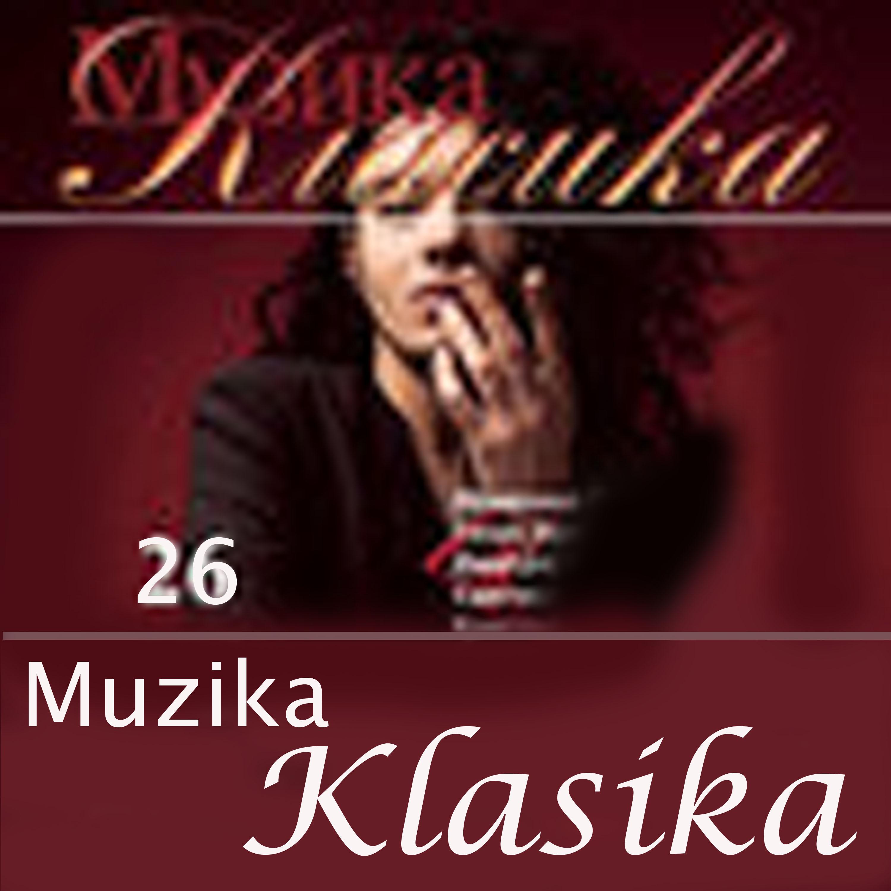 The Four Seasons, Winter, Op.8/4: II Largo