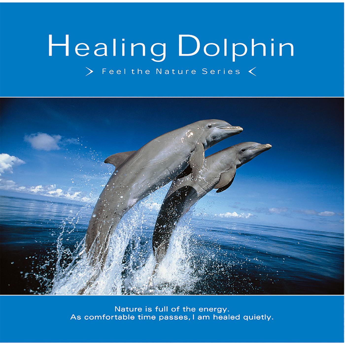 Dolphins of Light and Love