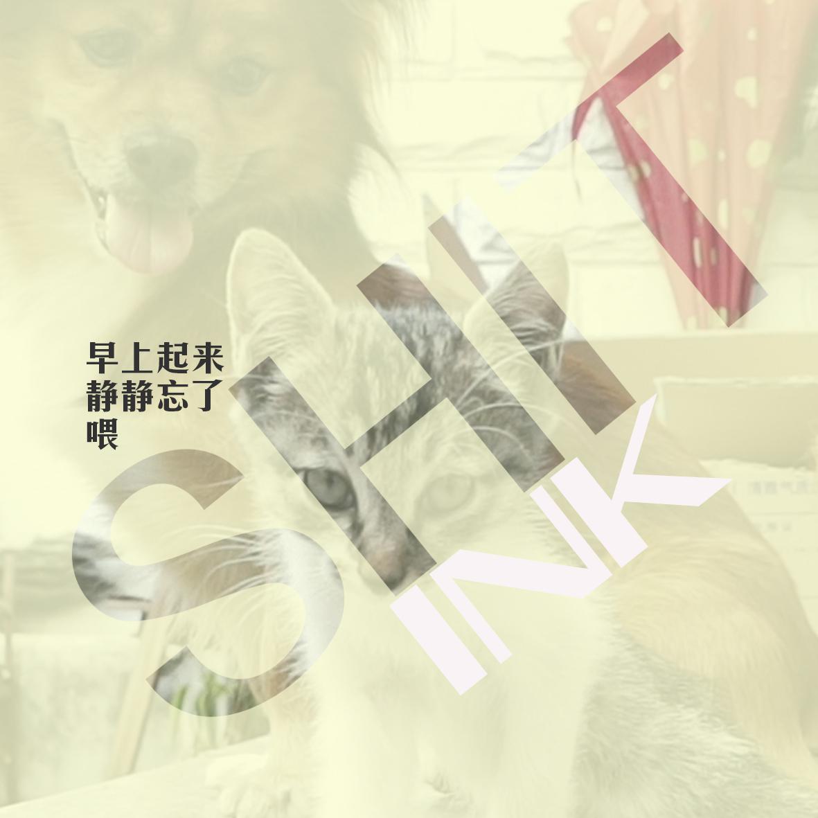 zao shang qi lai jing jing wang le wei