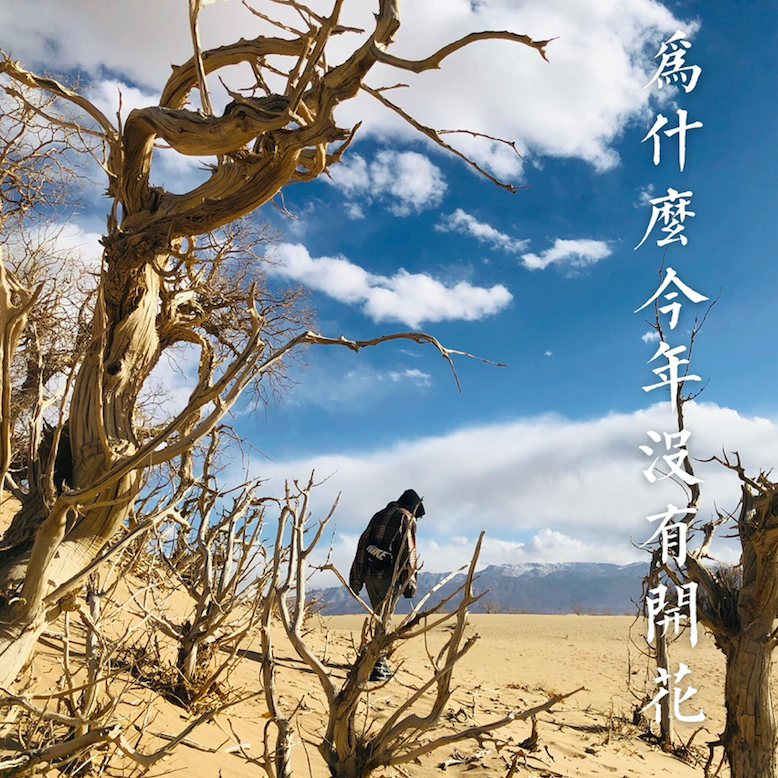 wei shi me jin nian mei you kai hua