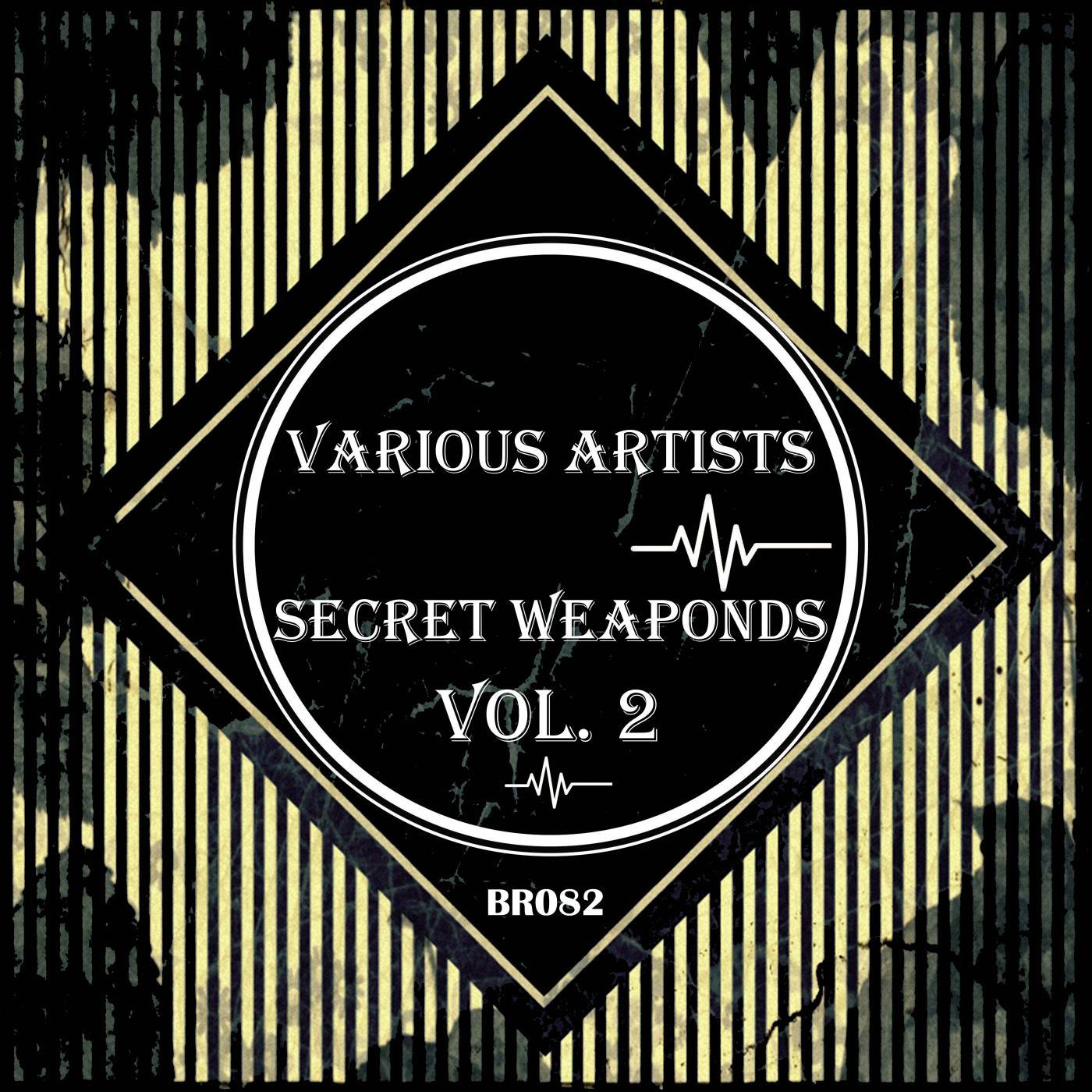 Secret Weaponds Vol. 2