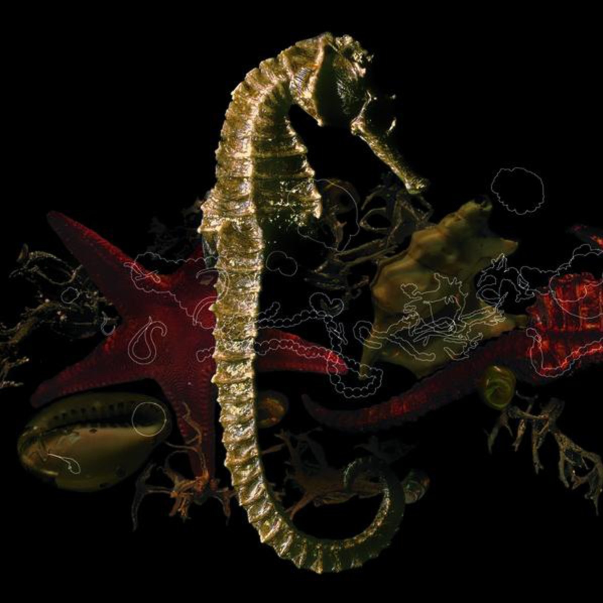 Loin De L'Ile - Single Version