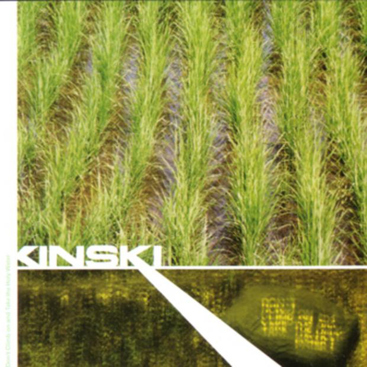 Never Compete With Small Girls