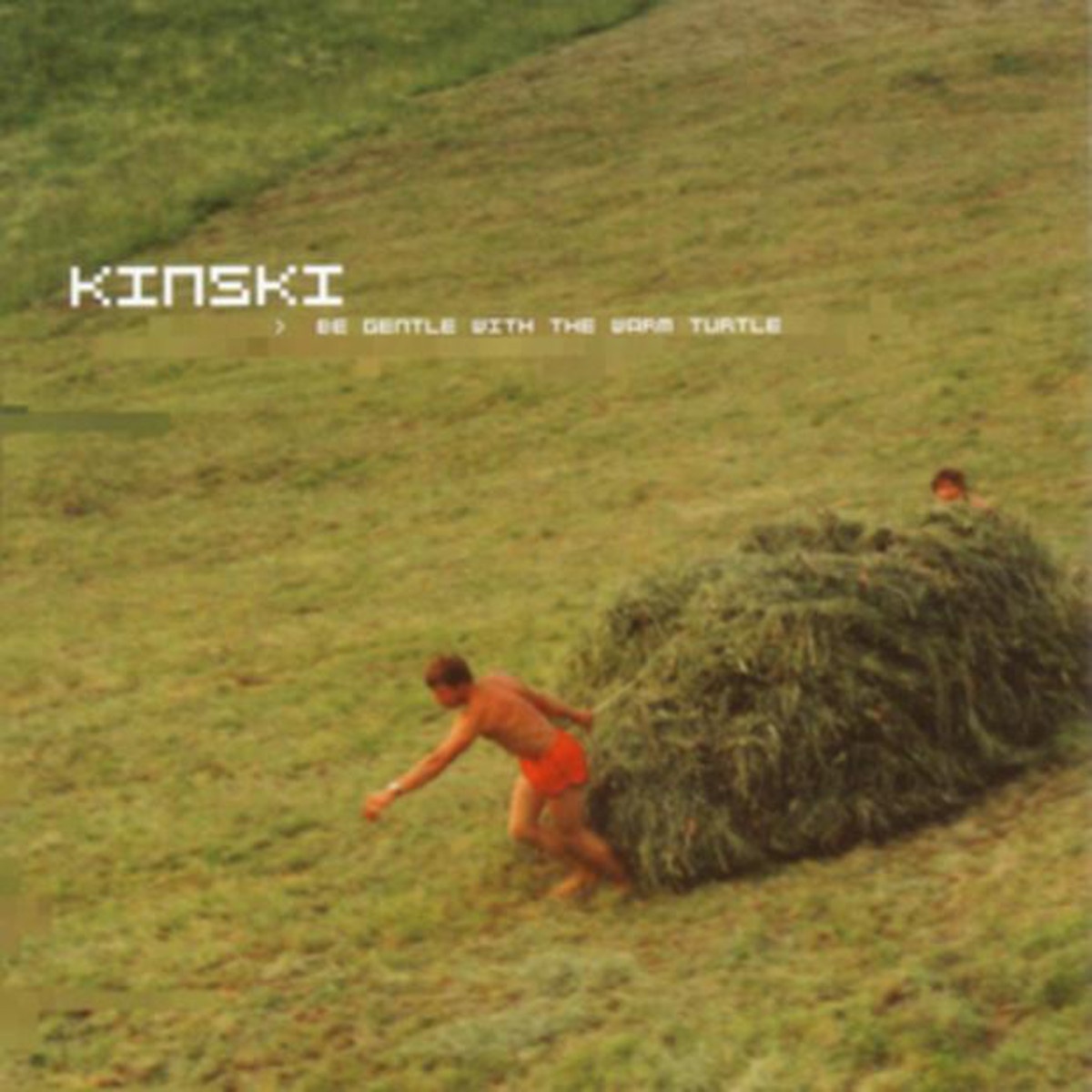 That Helmut Poe Kid's Weird