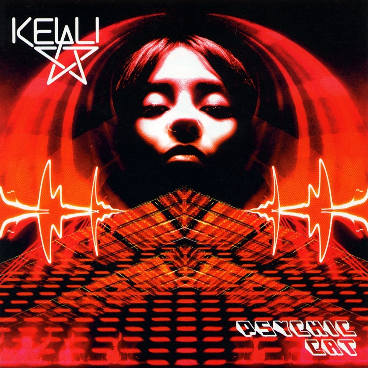 In Praise of Shadows