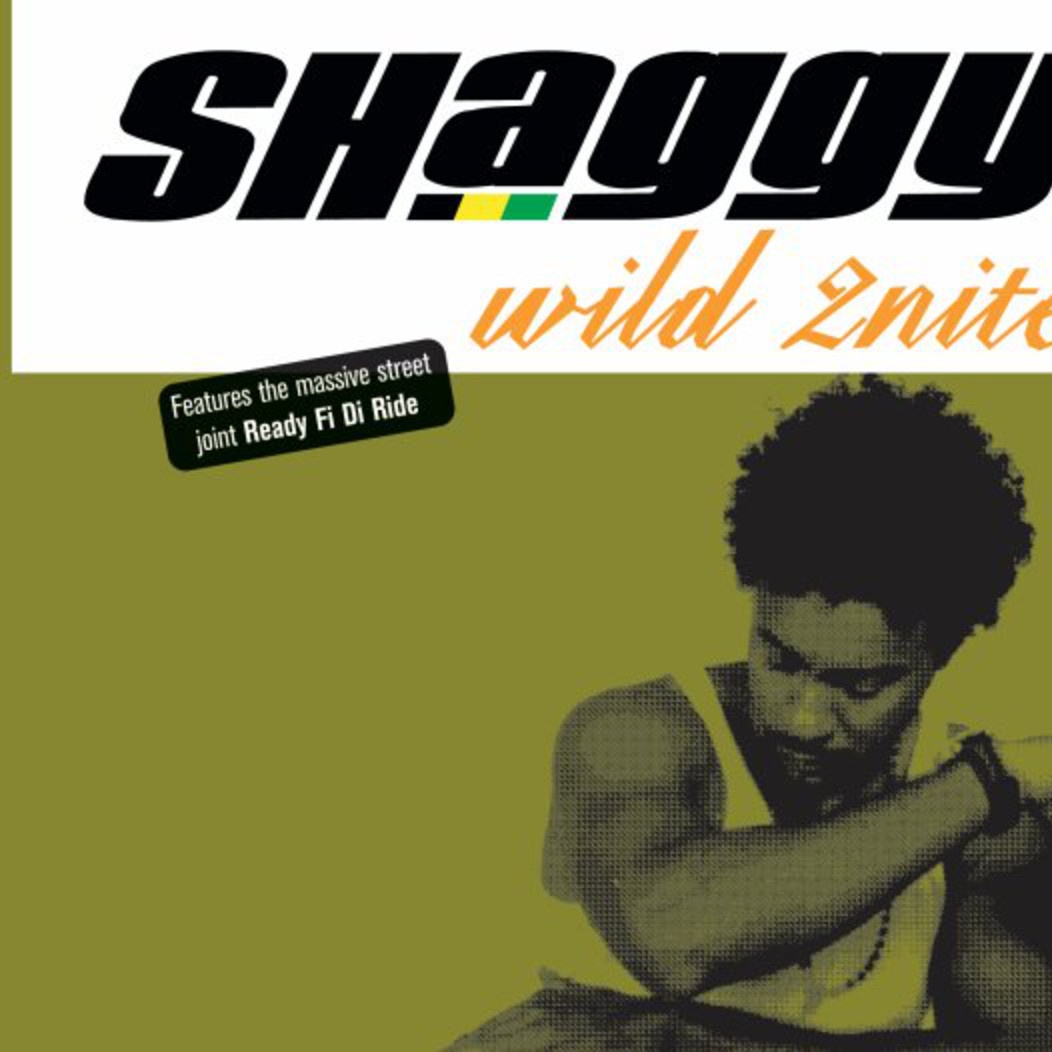 Wild 2Nite - Birch Remix